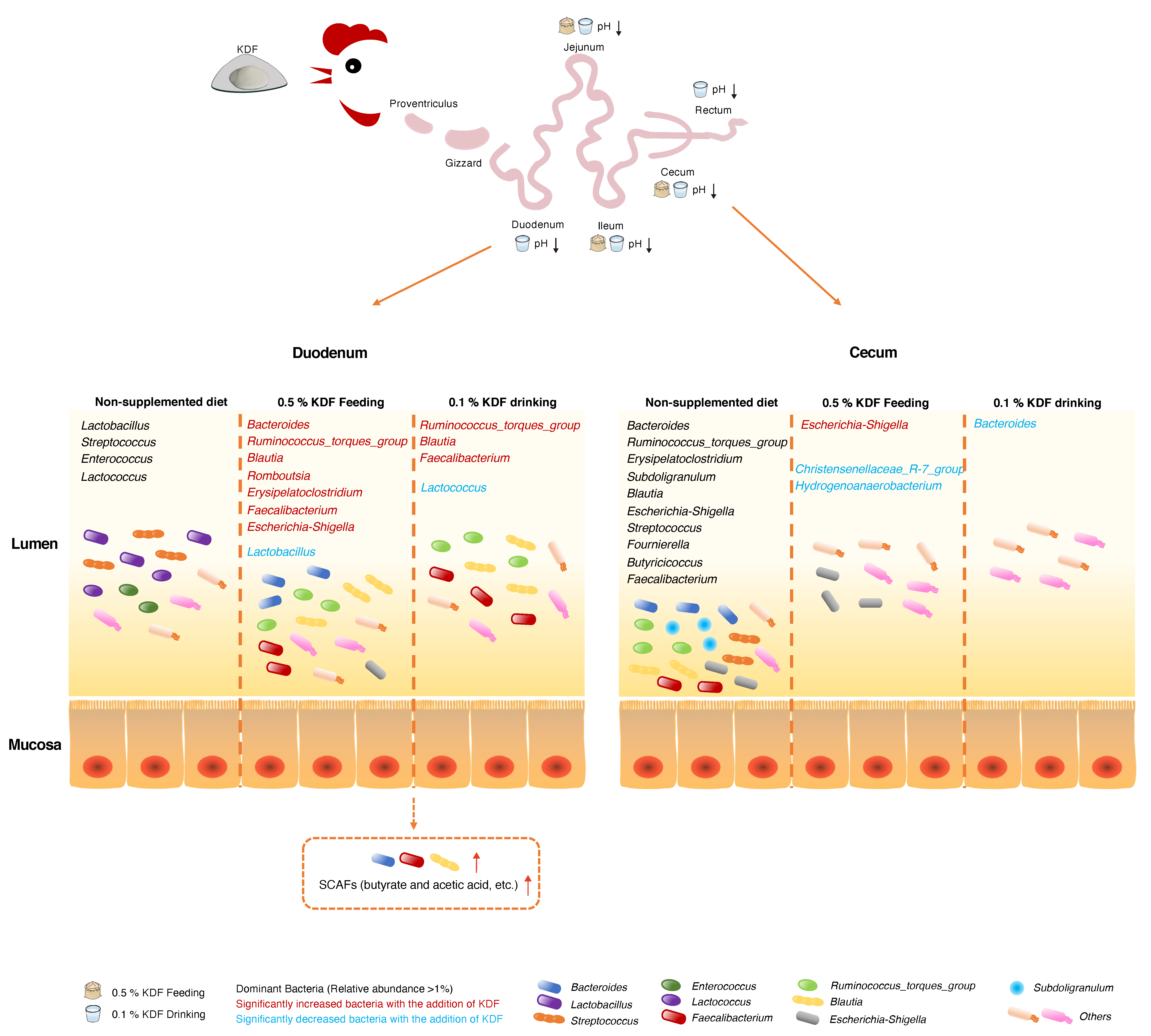 Antibiotics 11 01265 g007 Antibiotics 11 01265 g007