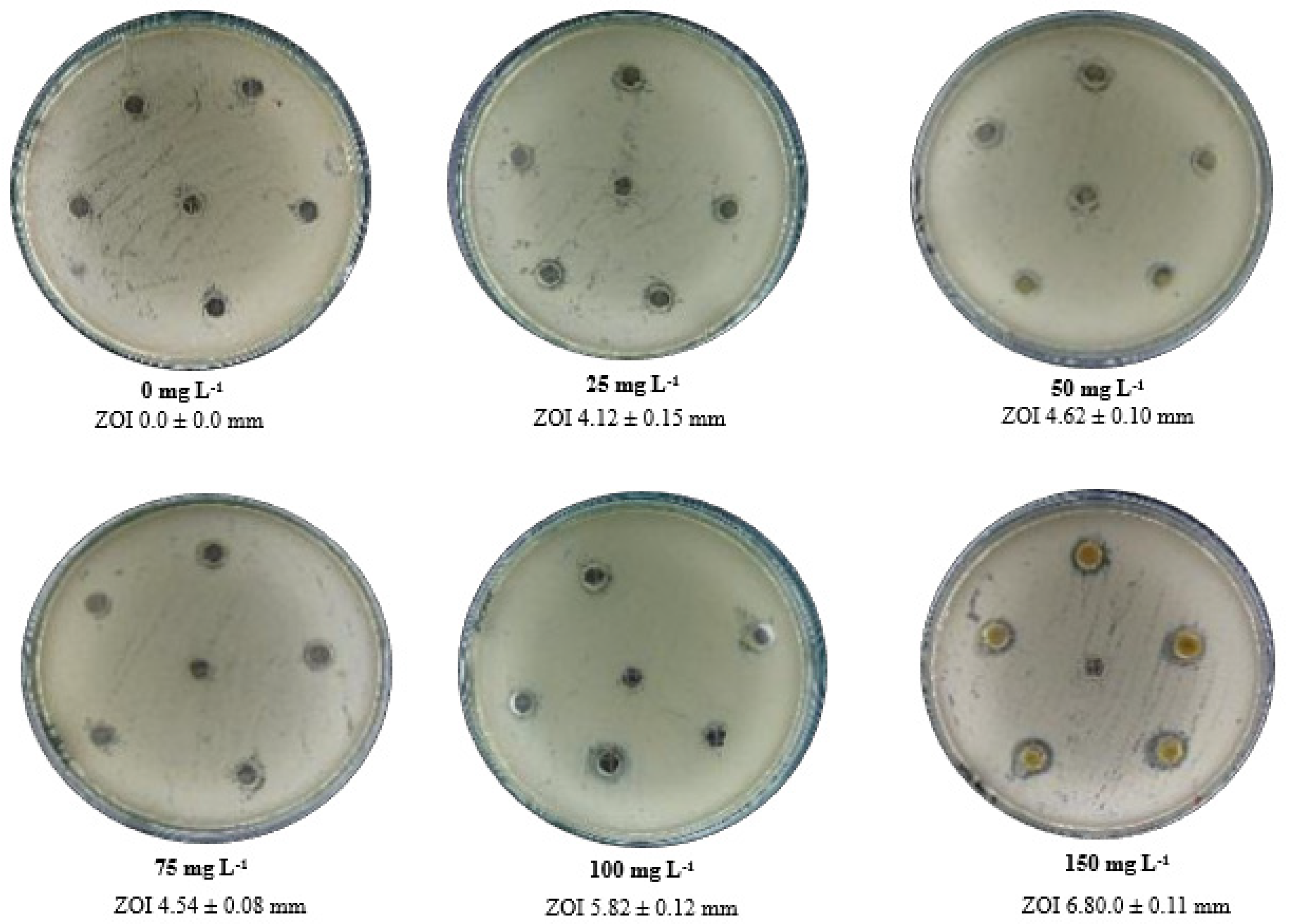 Antibiotics 11 01270 g003