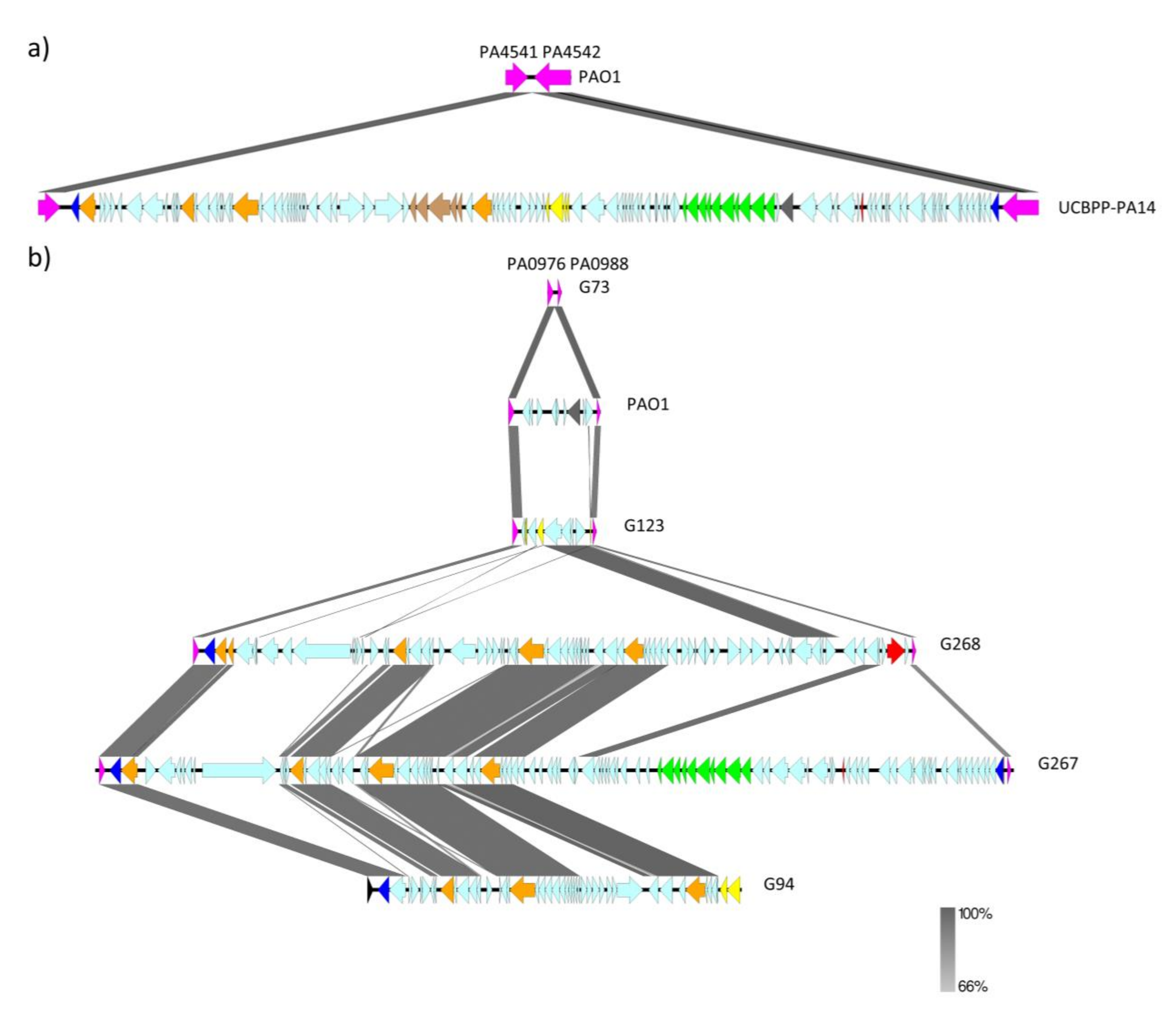Resistance to Fluoroquinolones in Pseudomonas aeruginosa