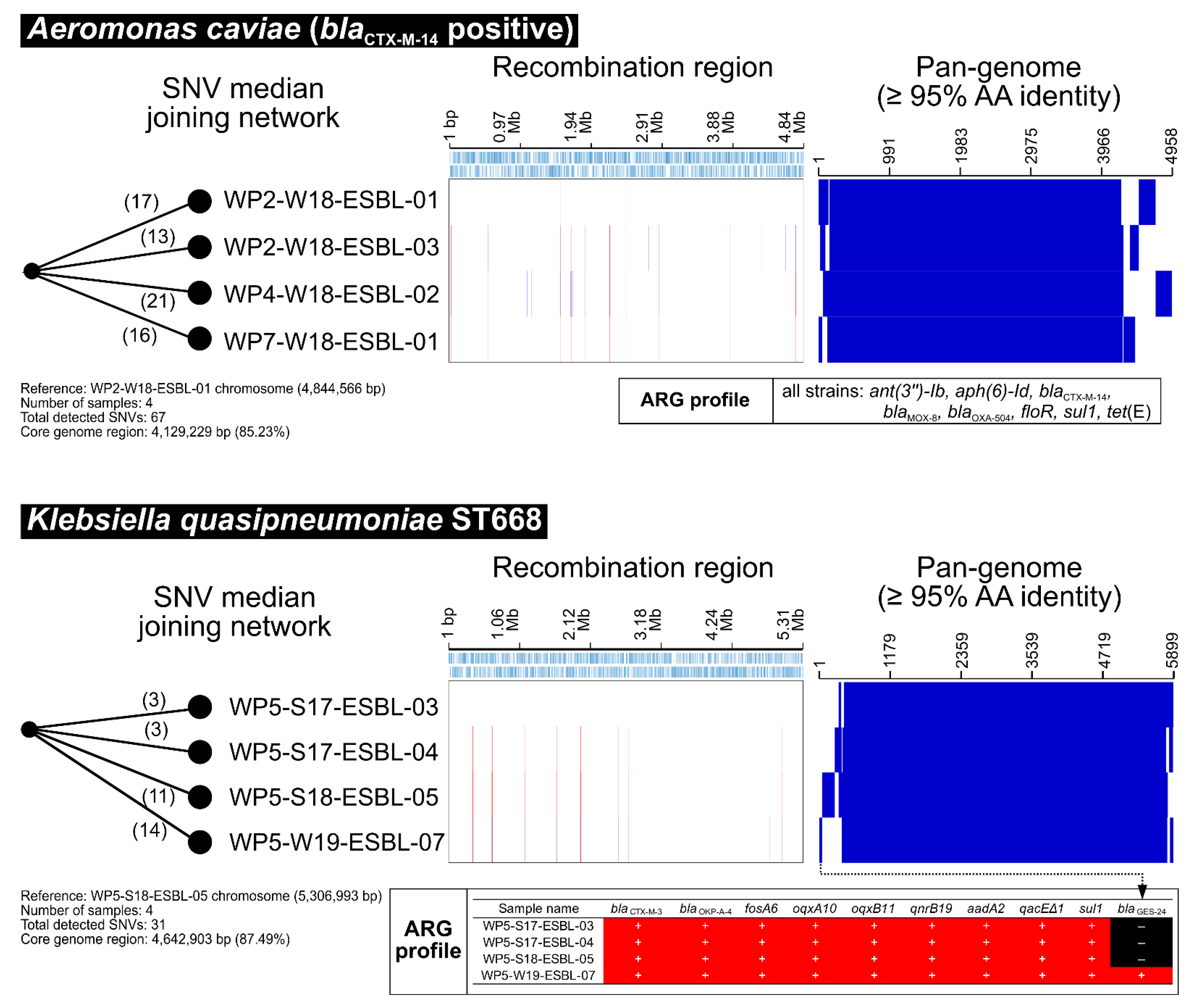 Antibiotics 11 01283 g005 Antibiotics 11 01283 g005