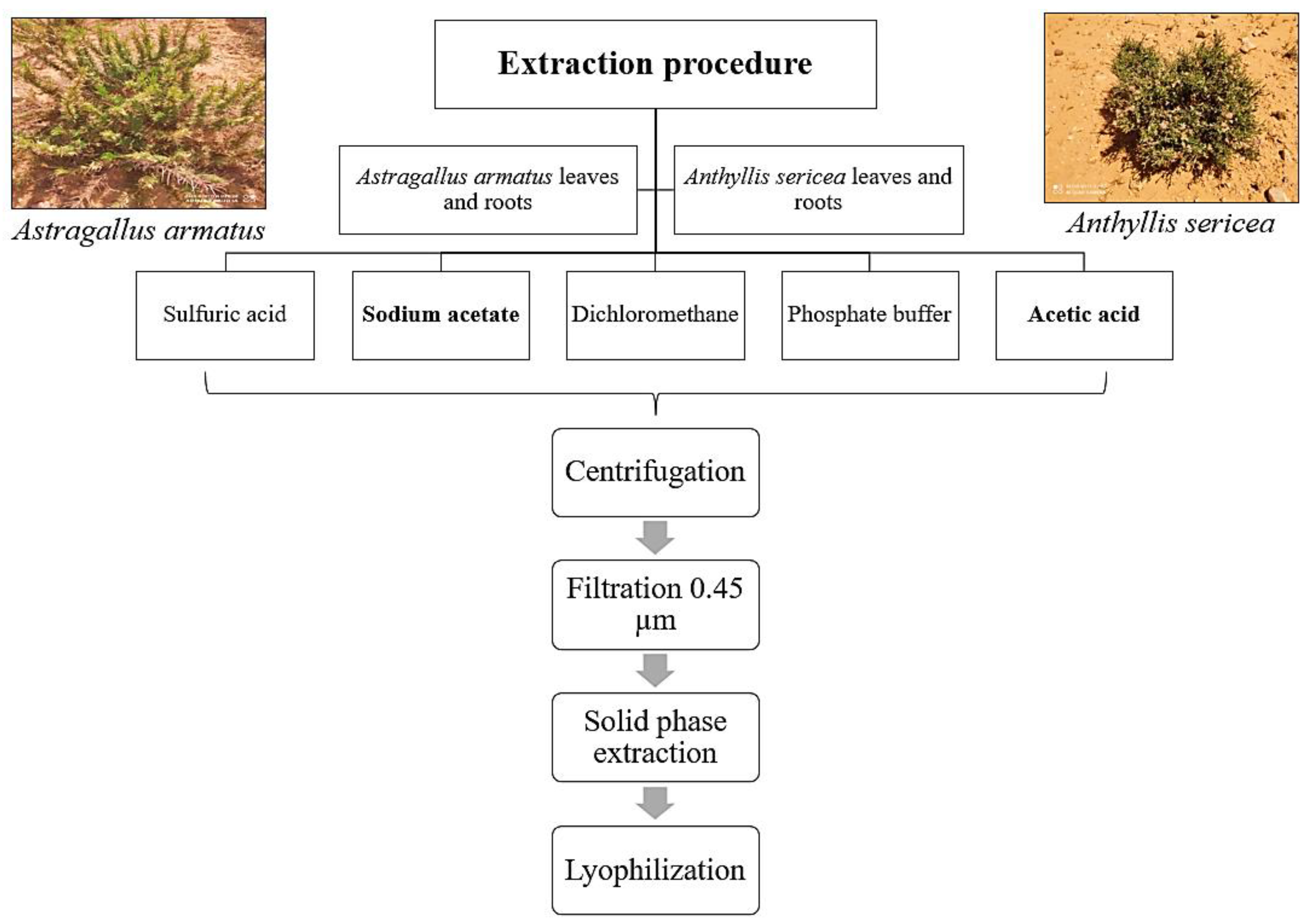 Antibiotics 11 01302 g011 Antibiotics 11 01302 g011