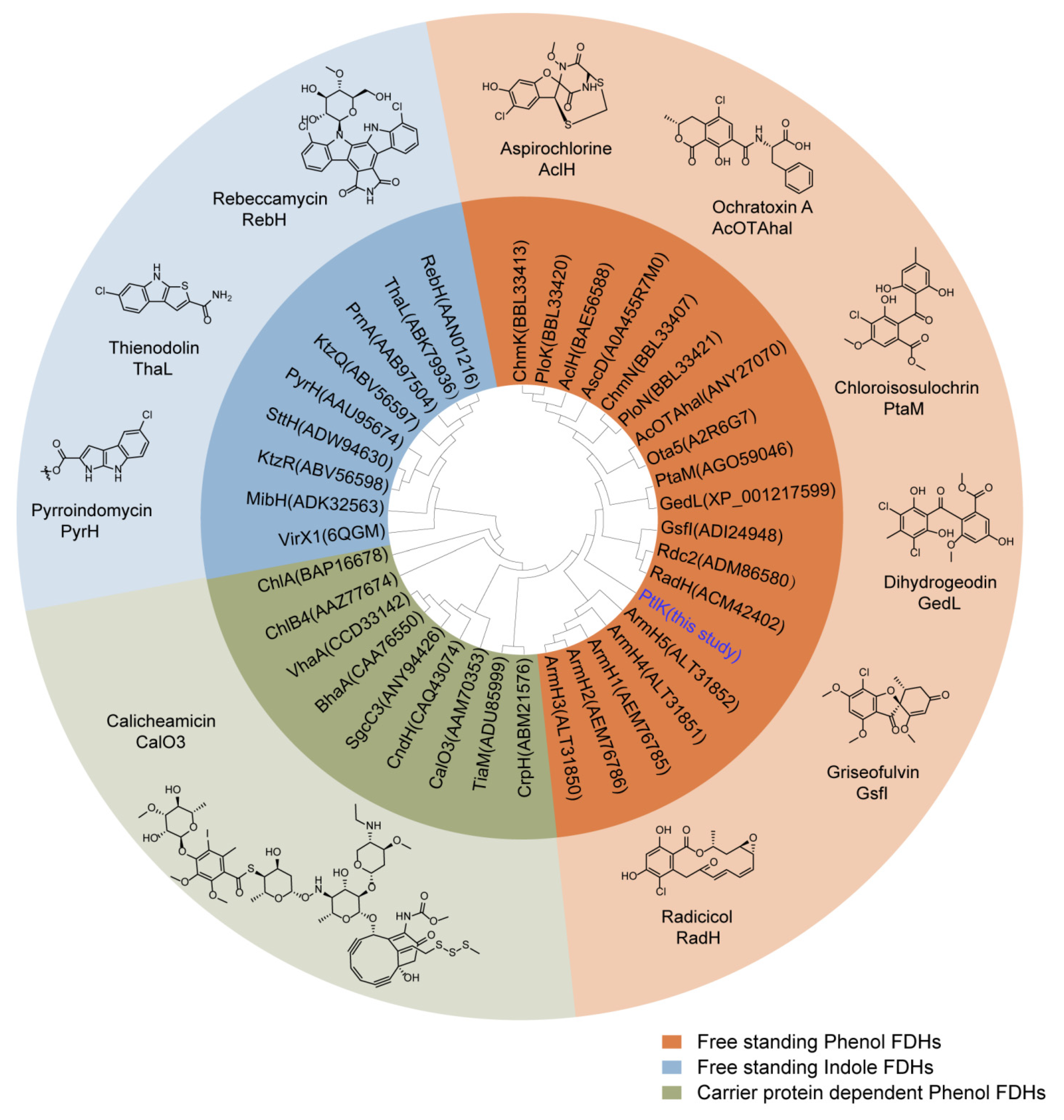 Antibiotics 11 01304 g002
