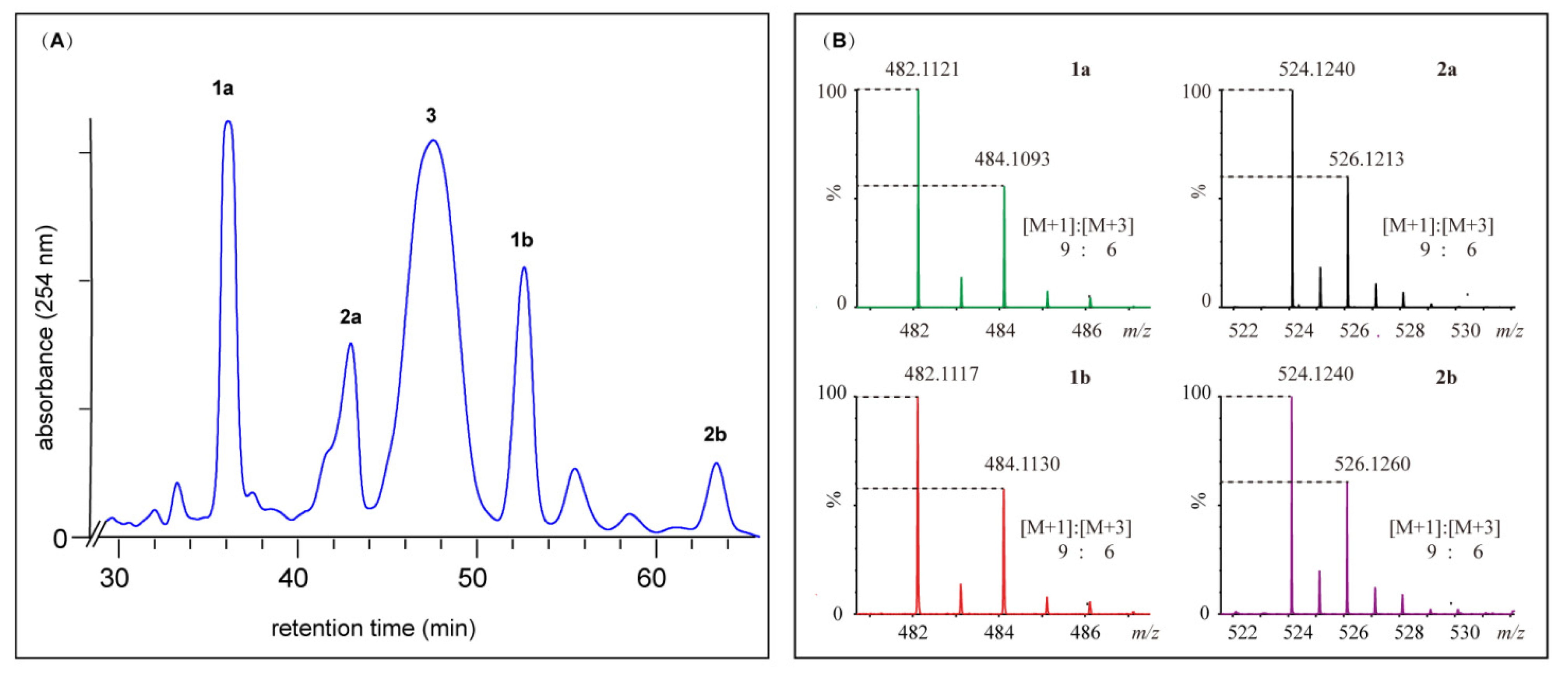 Antibiotics 11 01304 g003