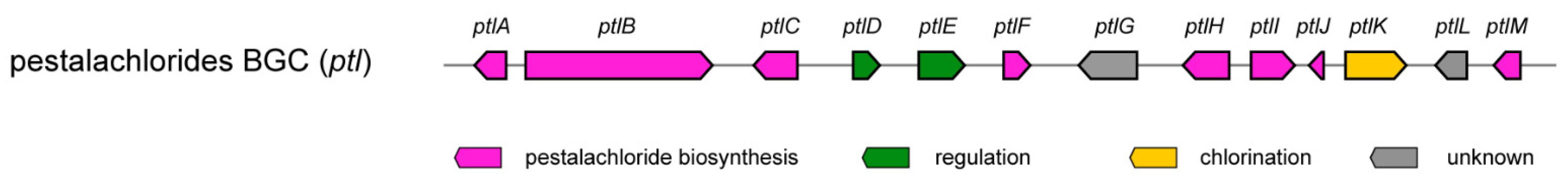 Antibiotics 11 01304 i001