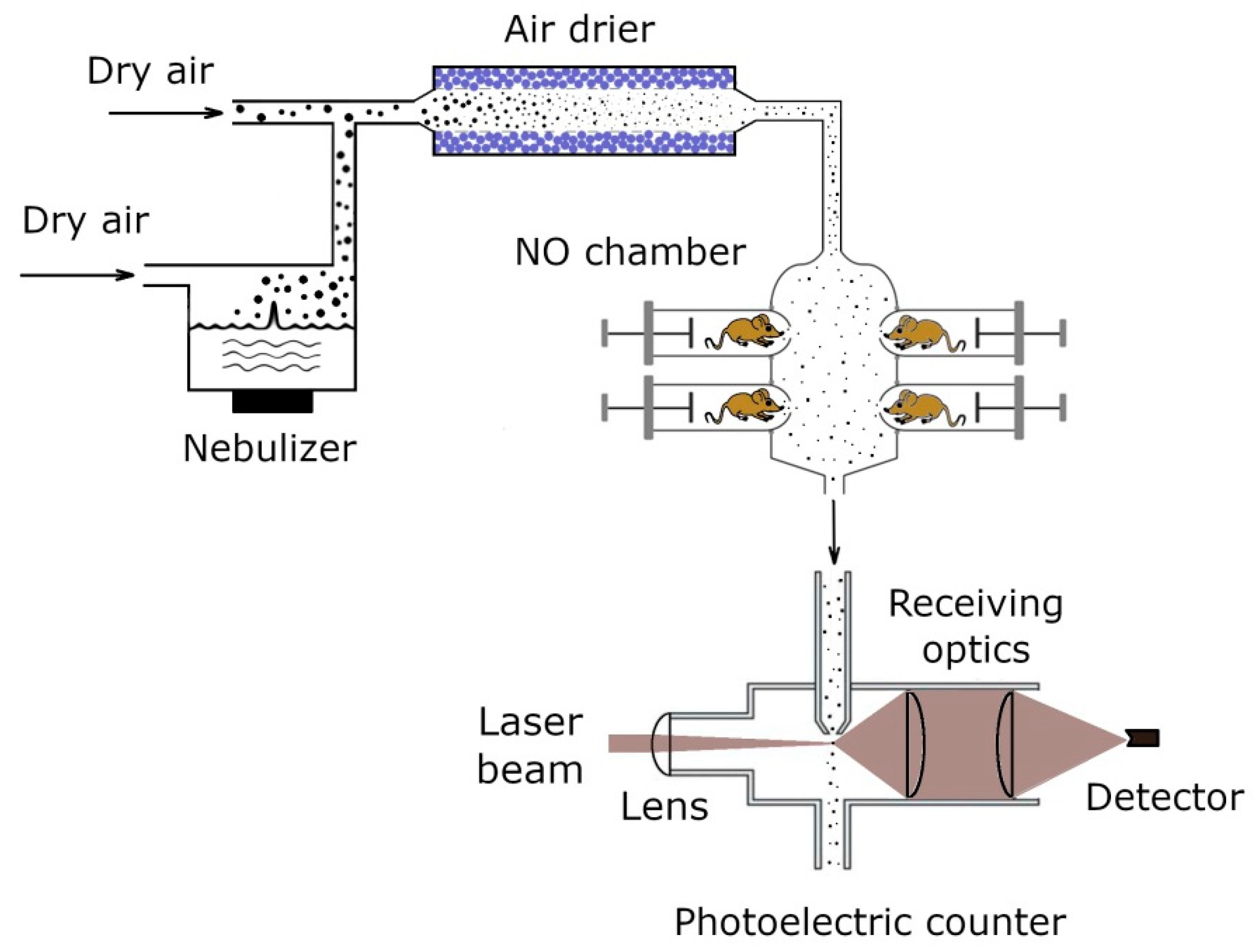 siberian mouse blow job Aerosol Inhalation Delivery of Ceftriaxone in Mice: Generation Procedure,  Pharmacokinetics, and Therapeutic Outcome