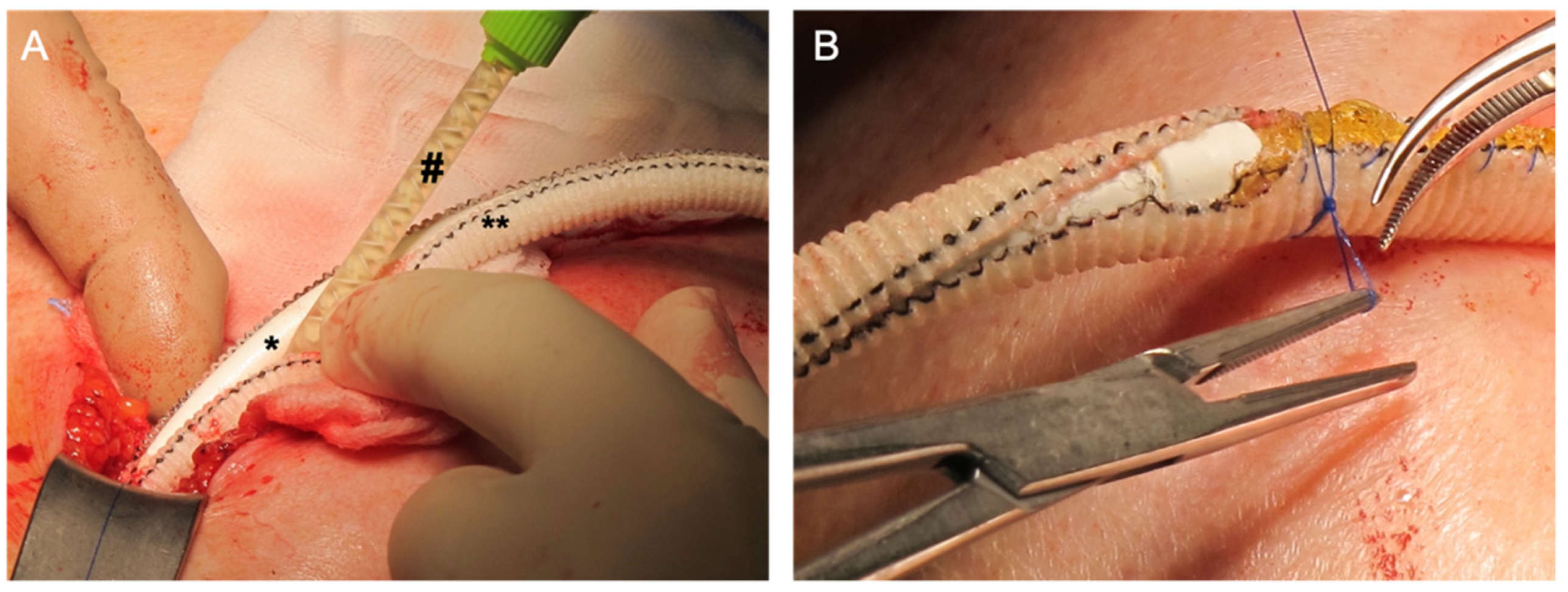 Antibiotics 11 01310 g002