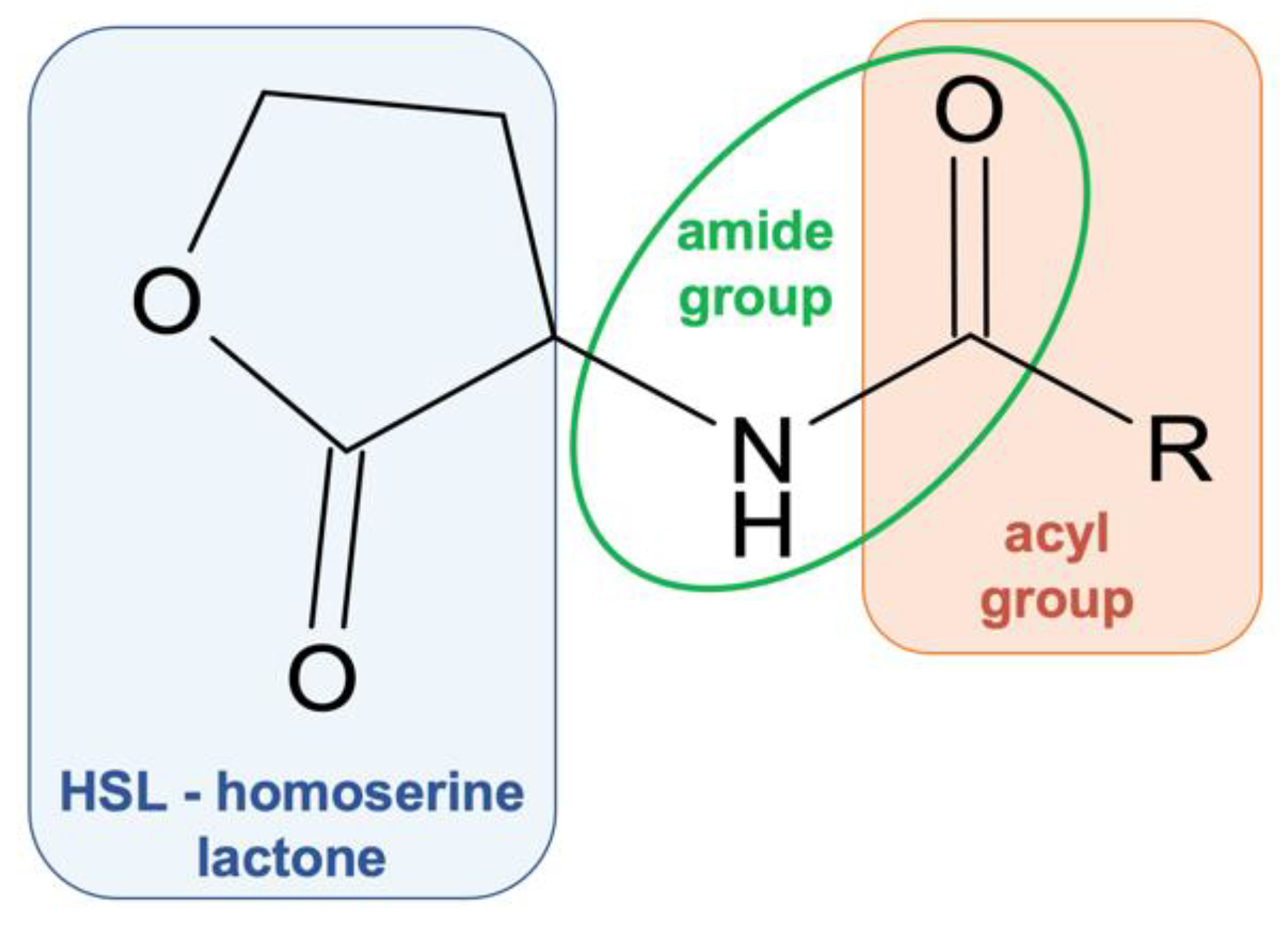 Antibiotics 11 01327 g003 Antibiotics 11 01327 g003