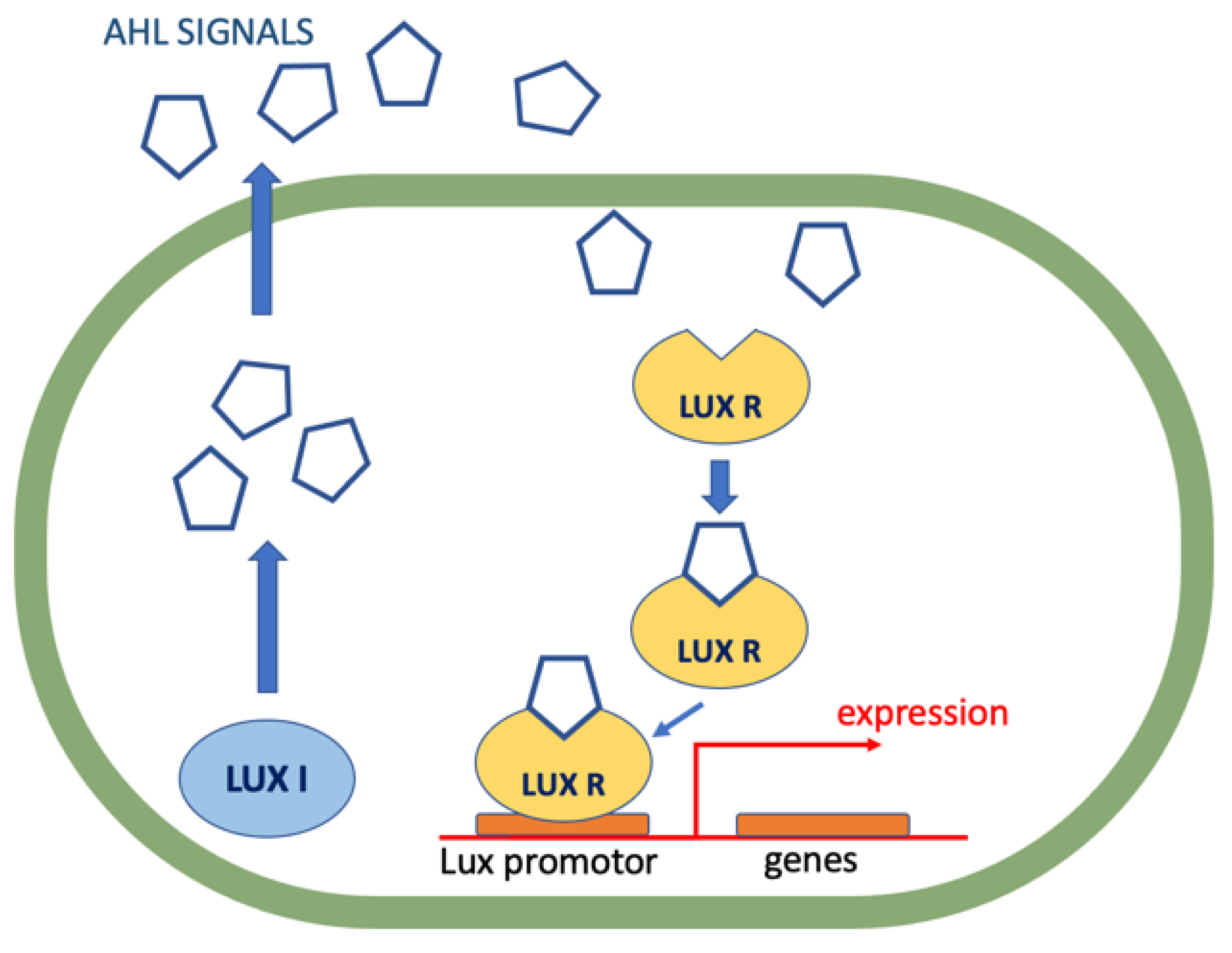 Antibiotics 11 01327 g004 Antibiotics 11 01327 g004