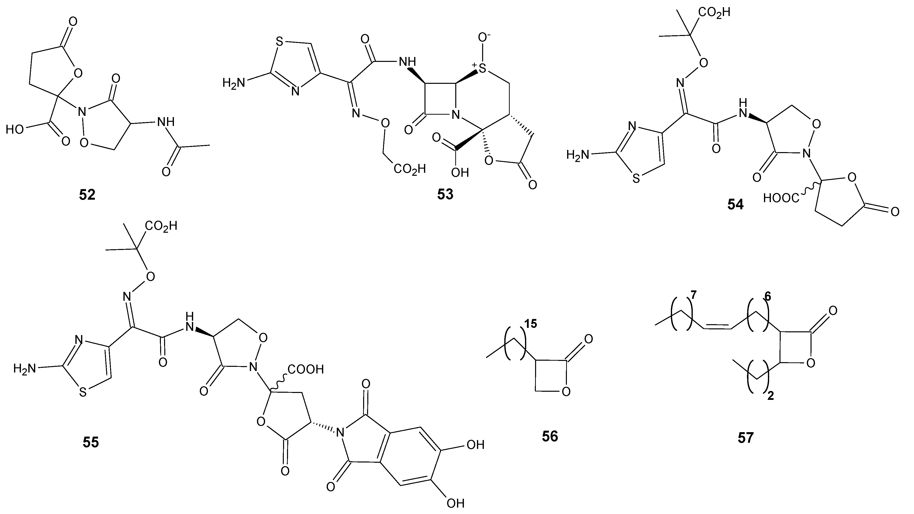 Antibiotics 11 01327 g006 Antibiotics 11 01327 g006