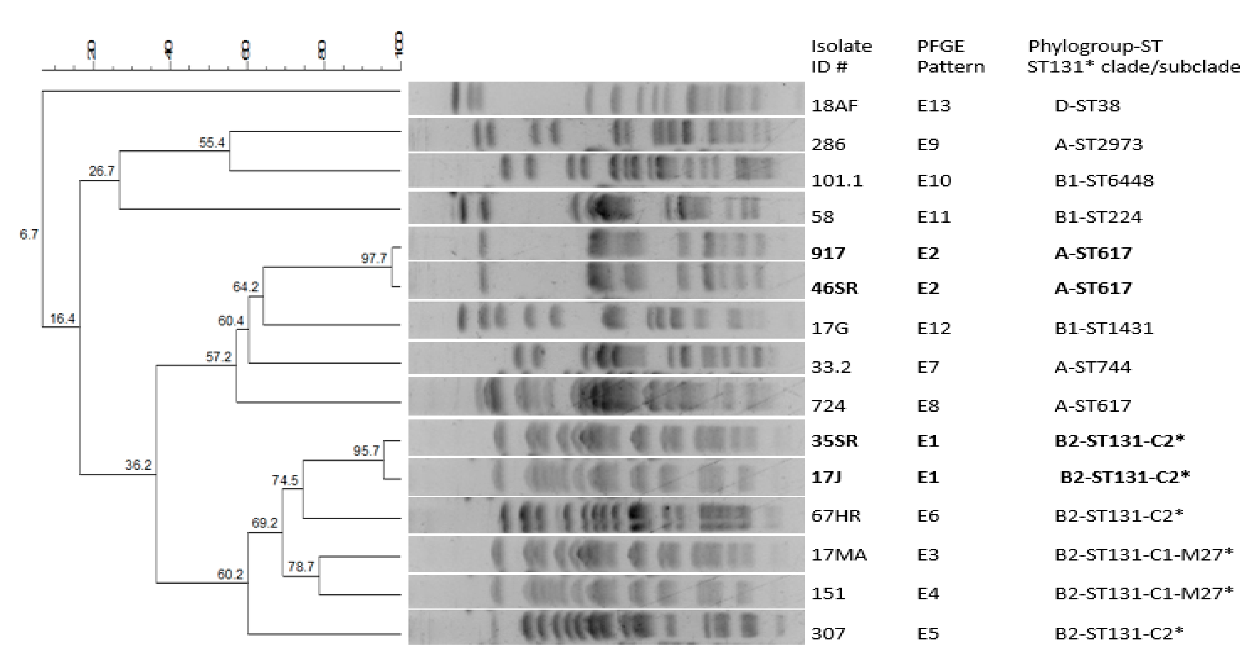 Antibiotics 11 01329 g001