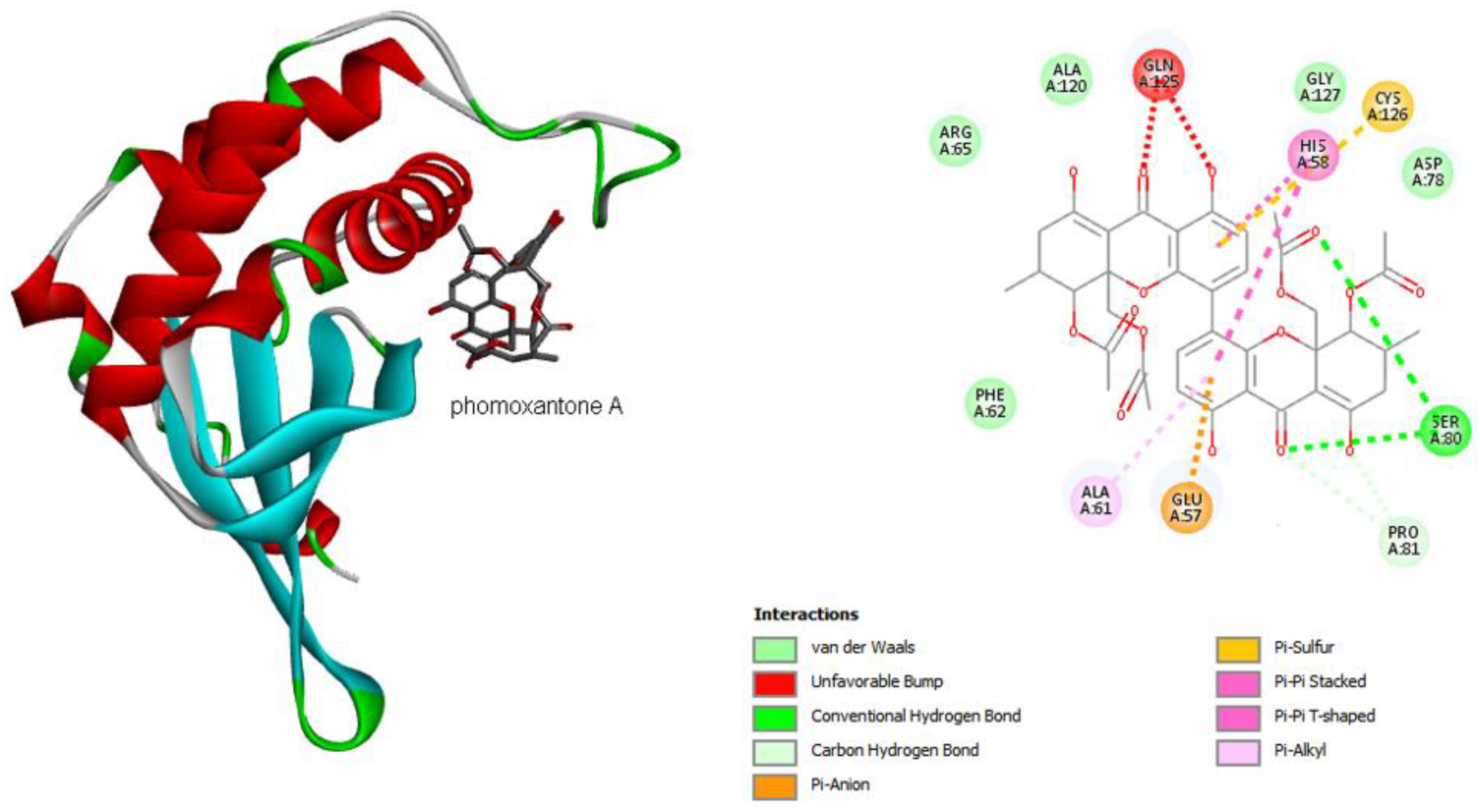 Antibiotics 11 01332 g003