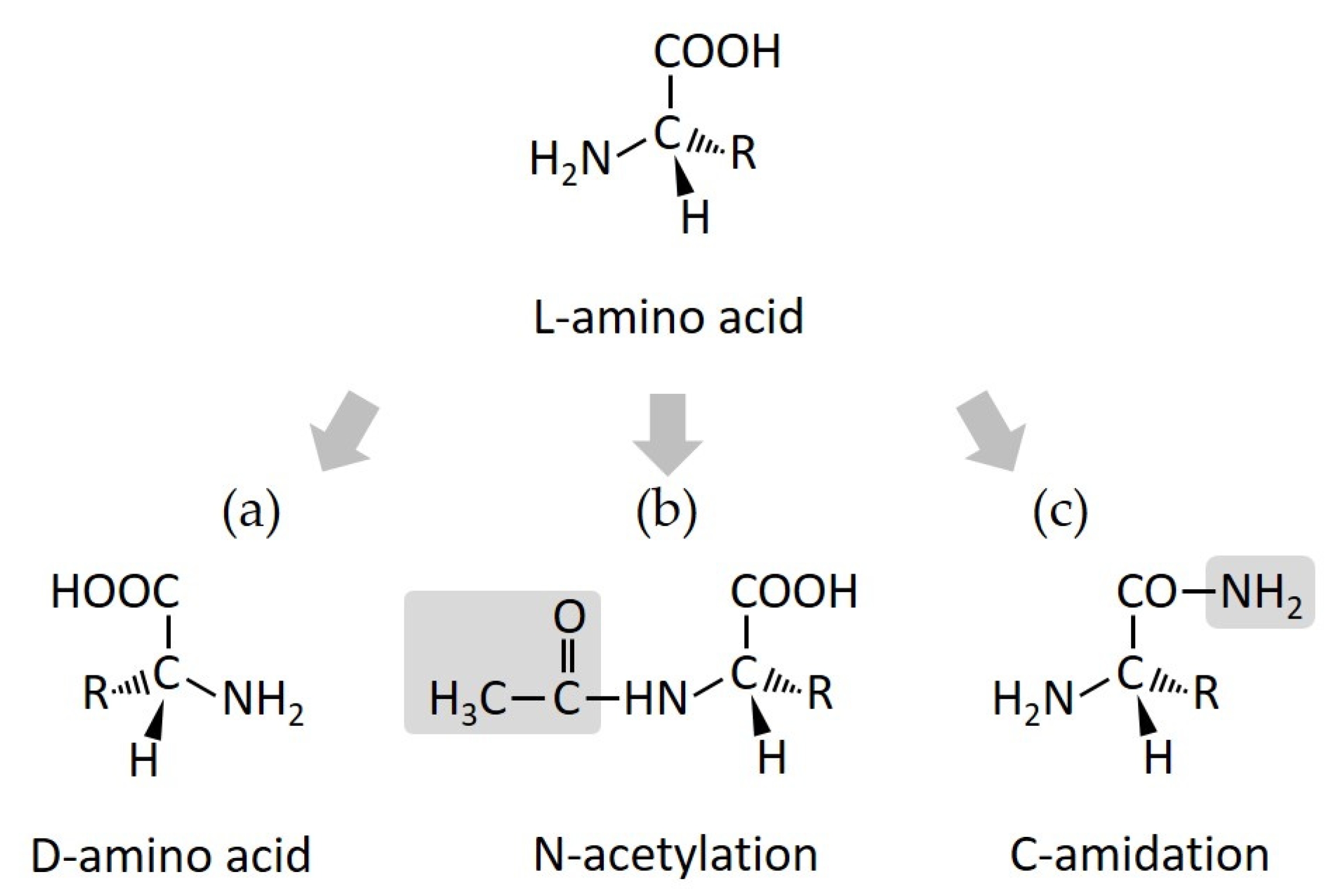 Antibiotics 11 01338 g002 Antibiotics 11 01338 g002