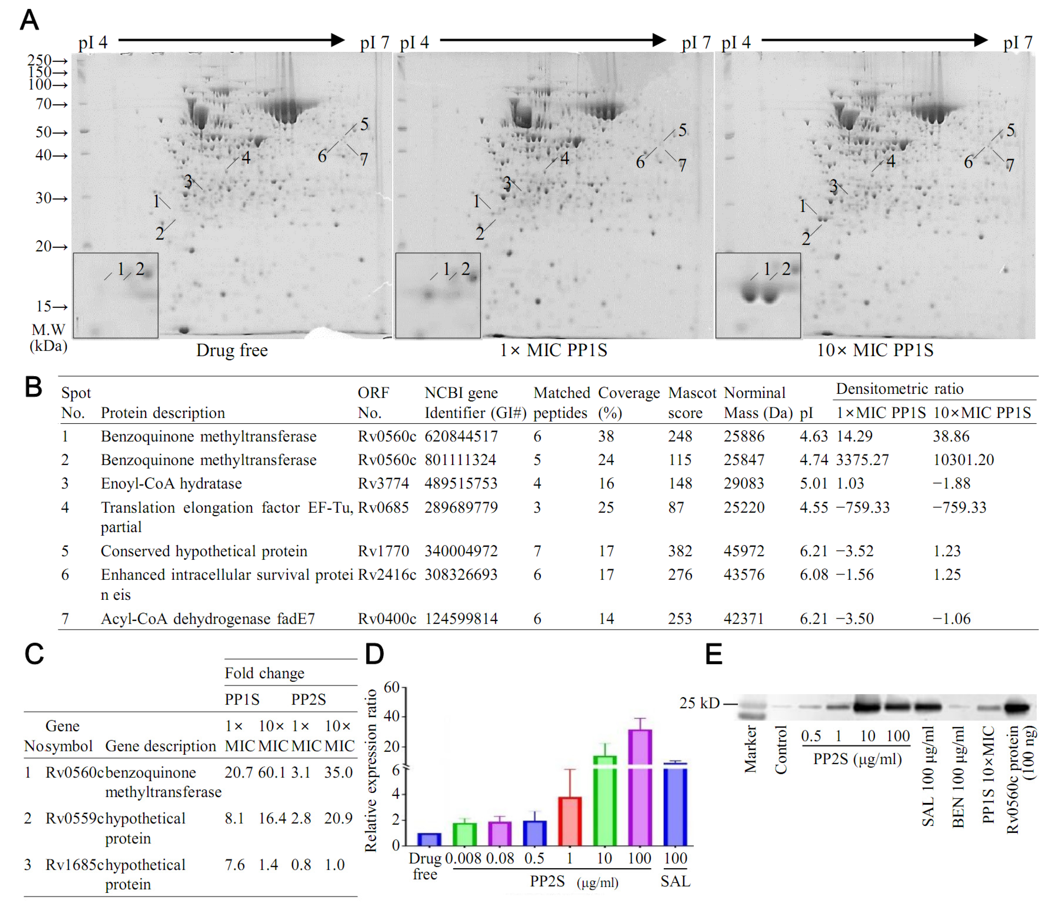 Antibiotics 11 01349 g001