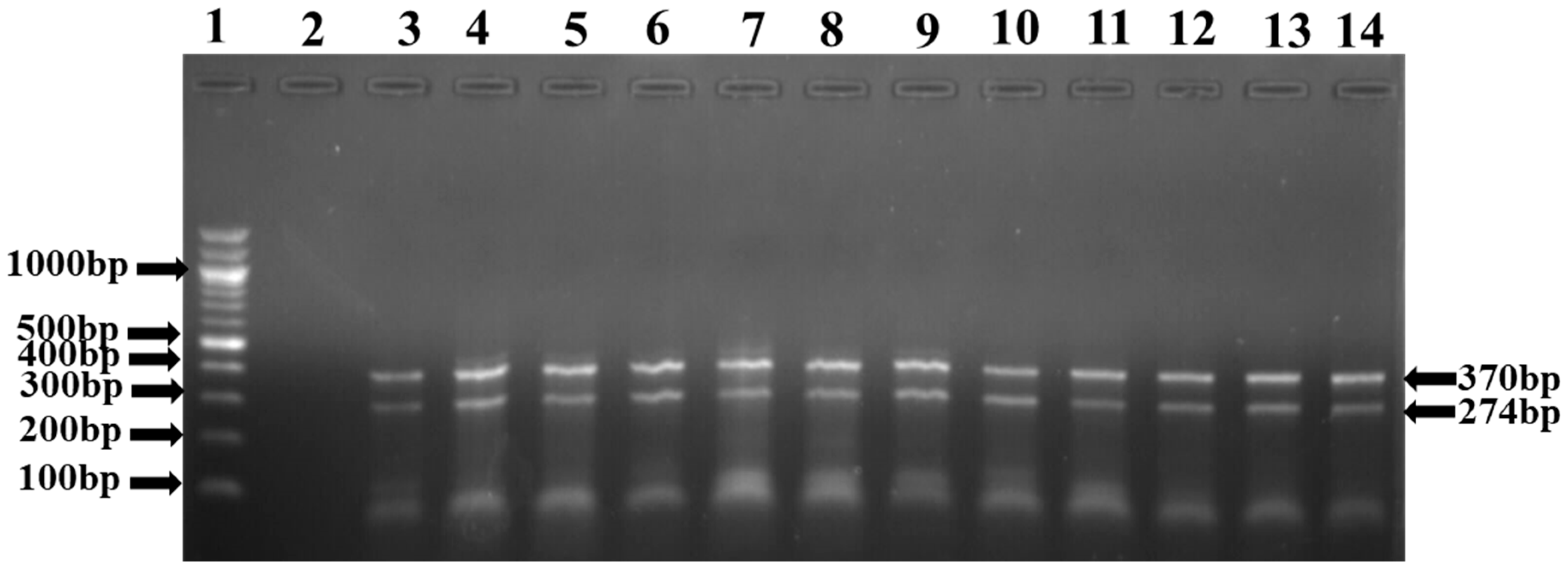 Antibiotics 11 01353 g002 Antibiotics 11 01353 g002
