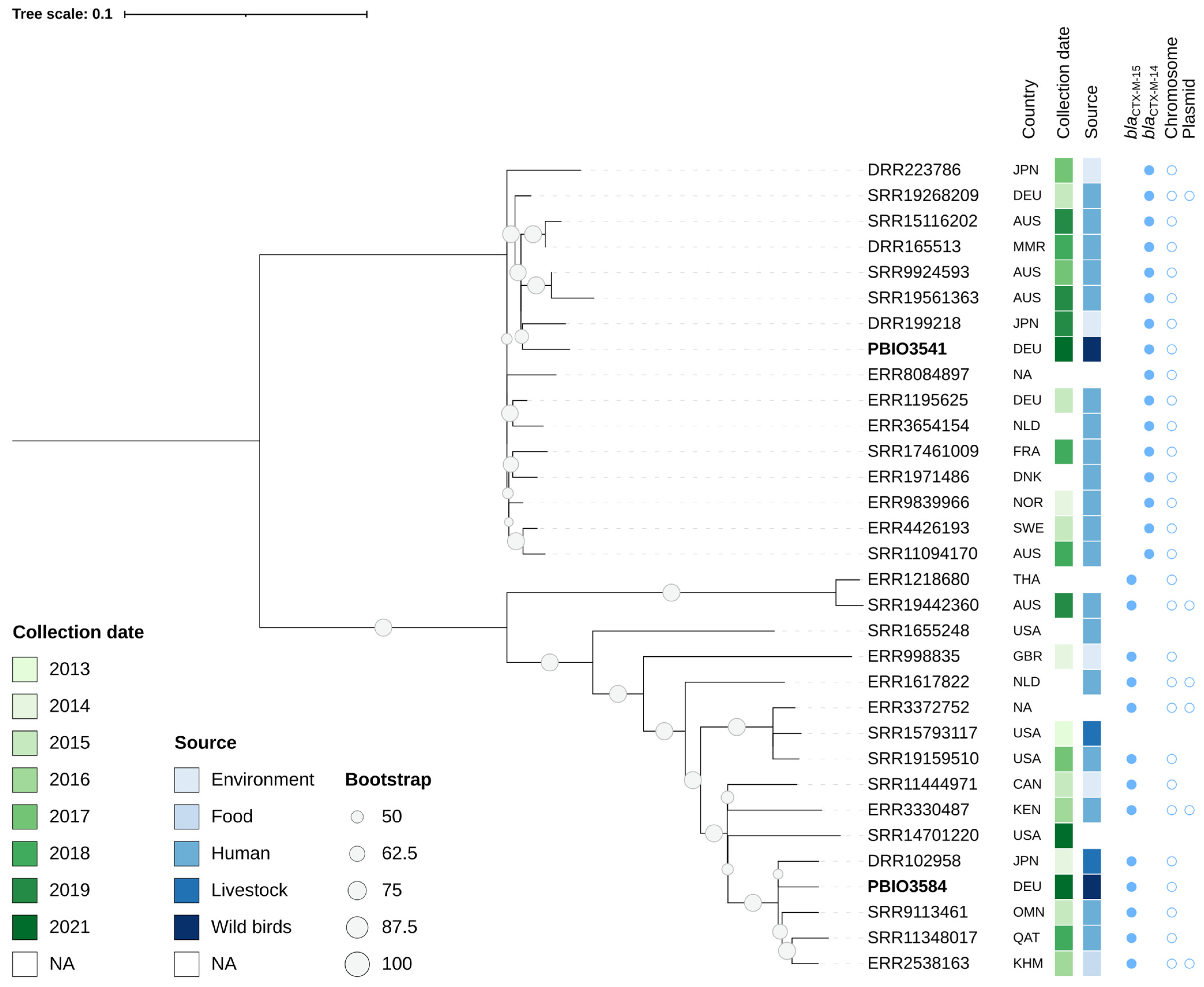 Antibiotics 11 01357 g004 Antibiotics 11 01357 g004