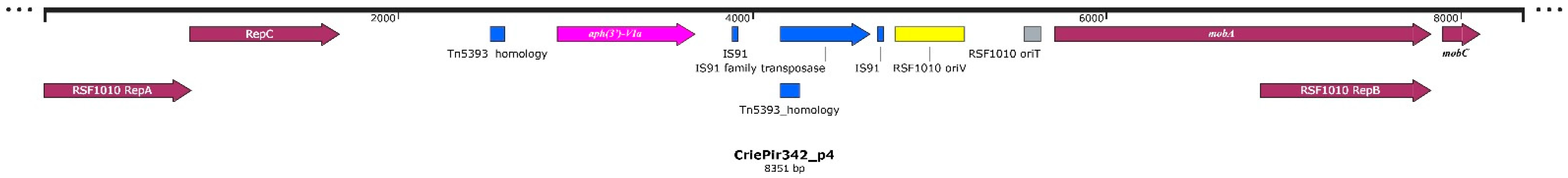 Antibiotics 11 01364 g002 Antibiotics 11 01364 g002