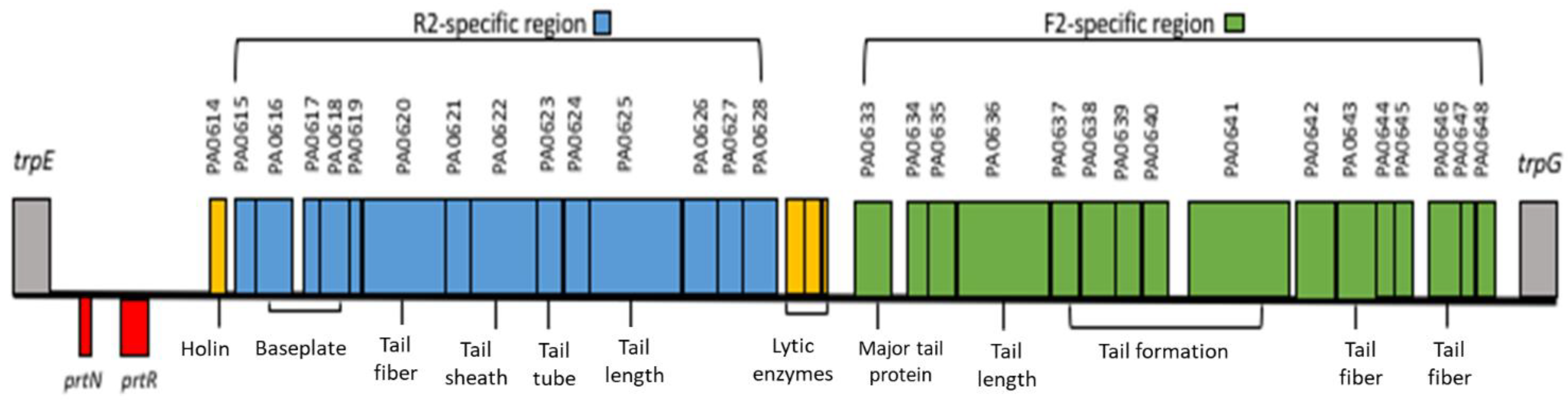Antibiotics 11 01366 g001 Antibiotics 11 01366 g001