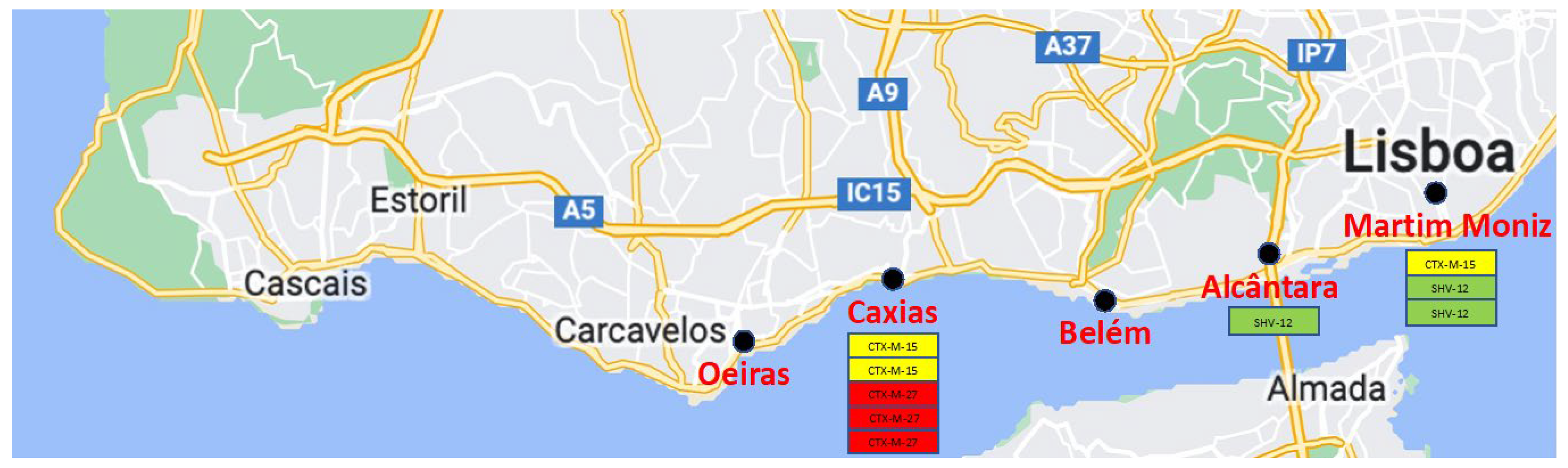 Portugal - Mapa Algarve (TP - SD)