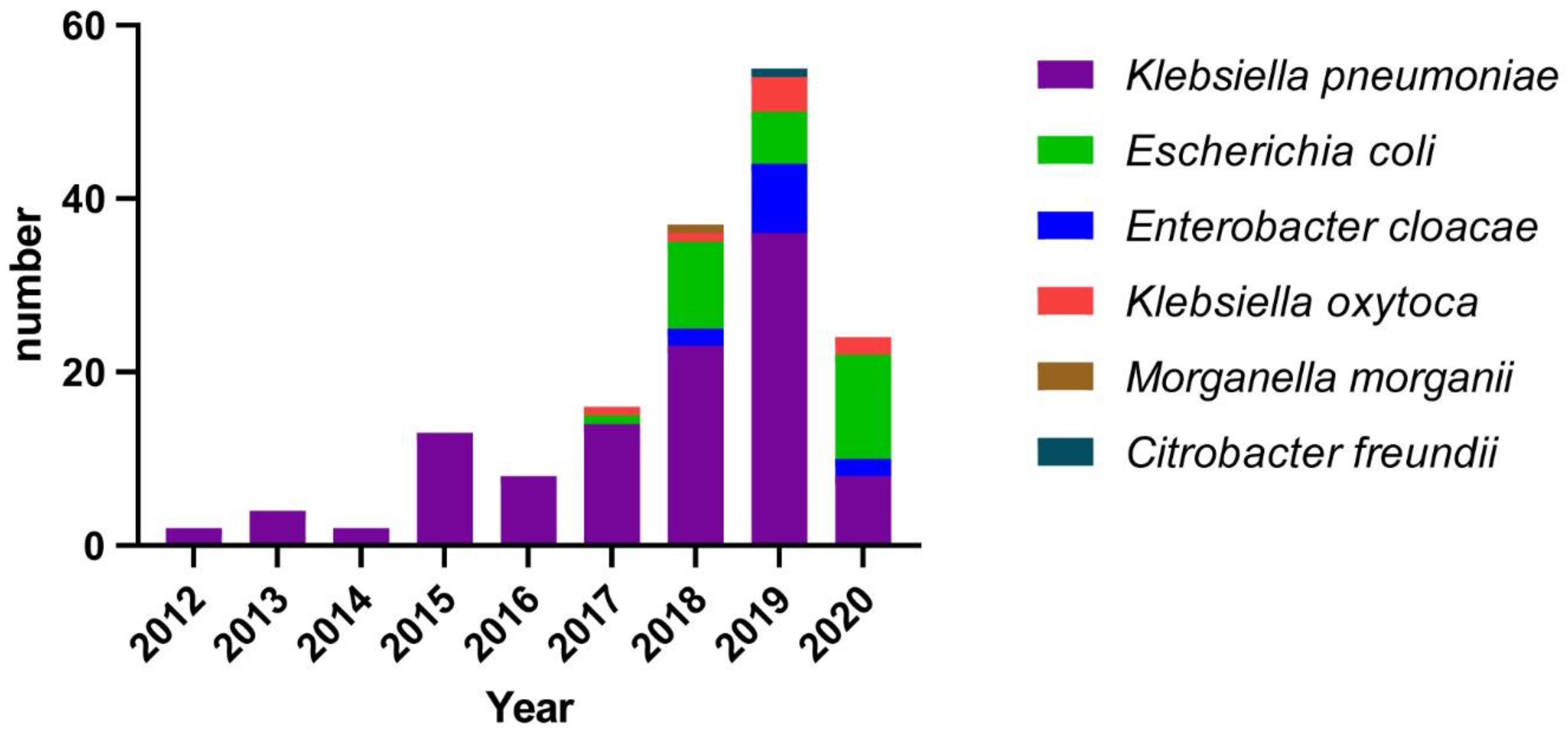 Antibiotics Free FullText ST11 CarbapenemResistant Klebsiella
