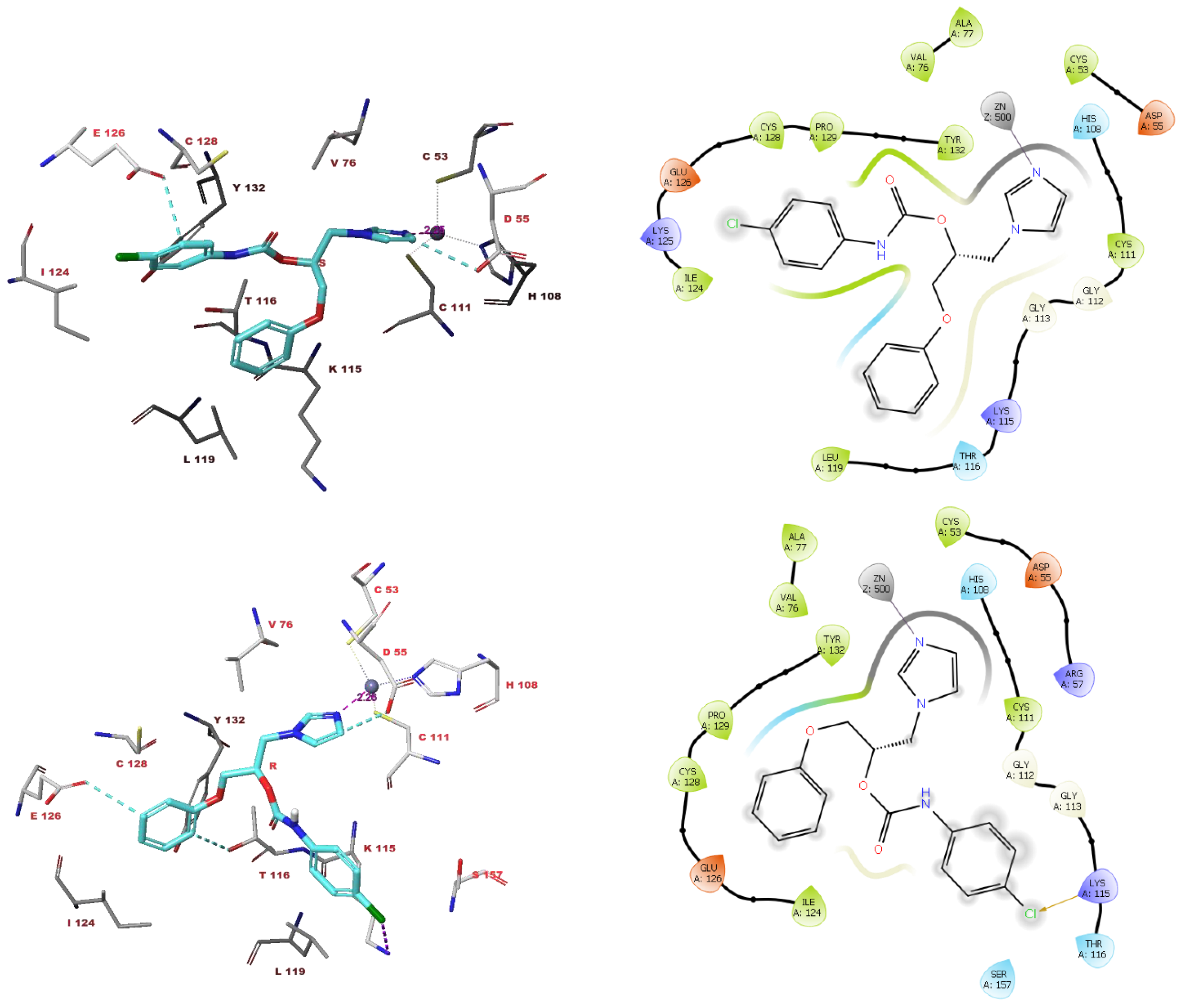 Antibiotics 11 01375 g008
