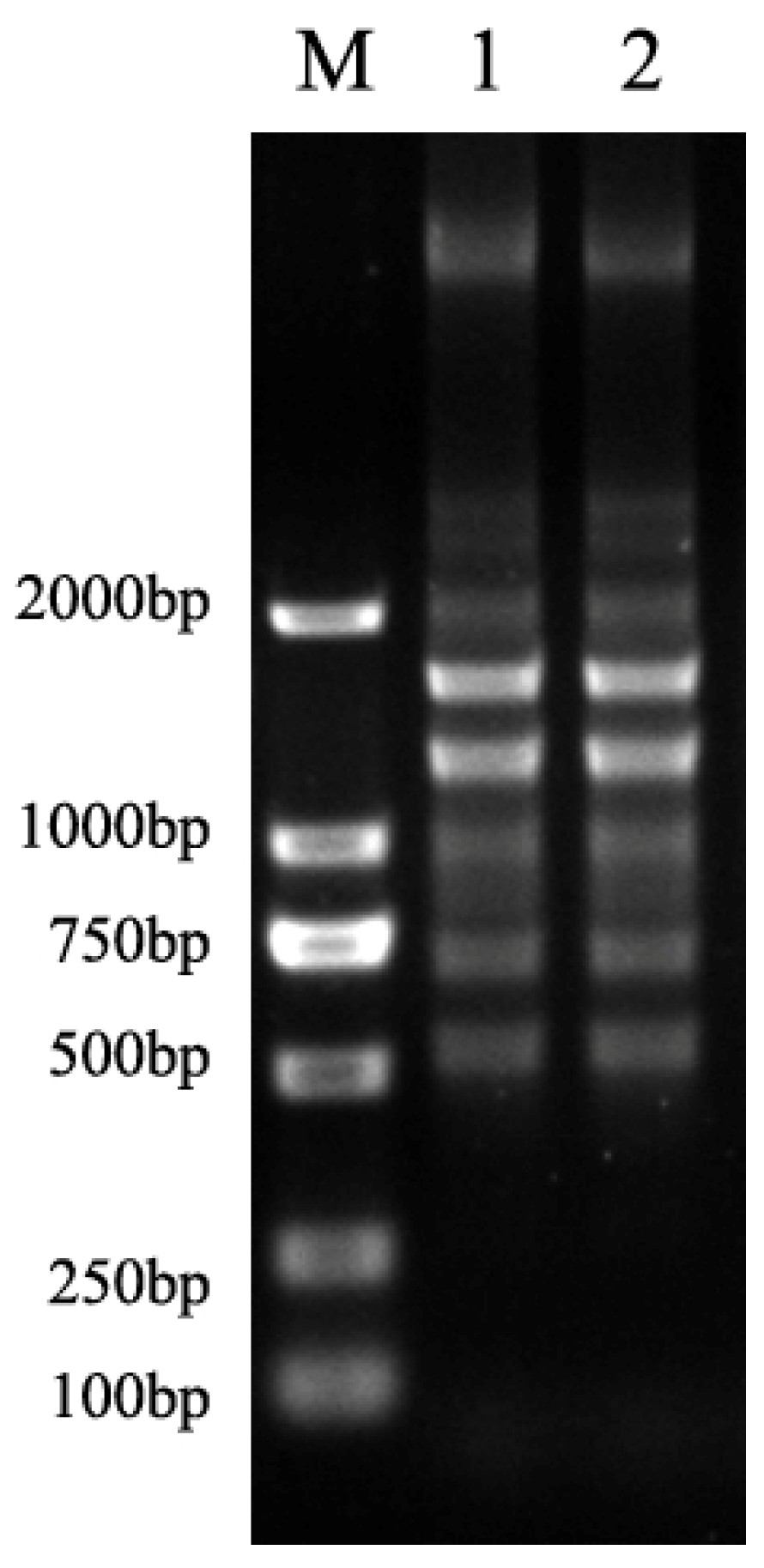 Antibiotics 11 01376 g001