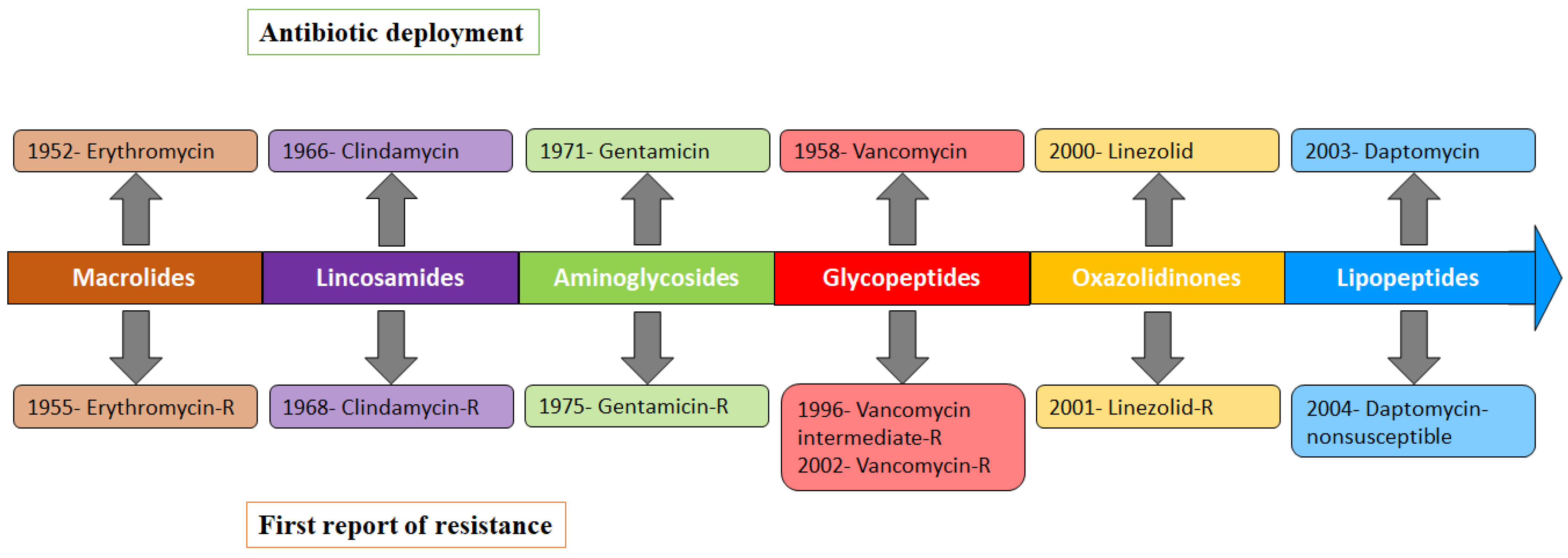 Antibiotics Free Full Text Molecular Basis Of Non Lactam antibiotics-free-full-text-molecular-basis-of-non-lactam
