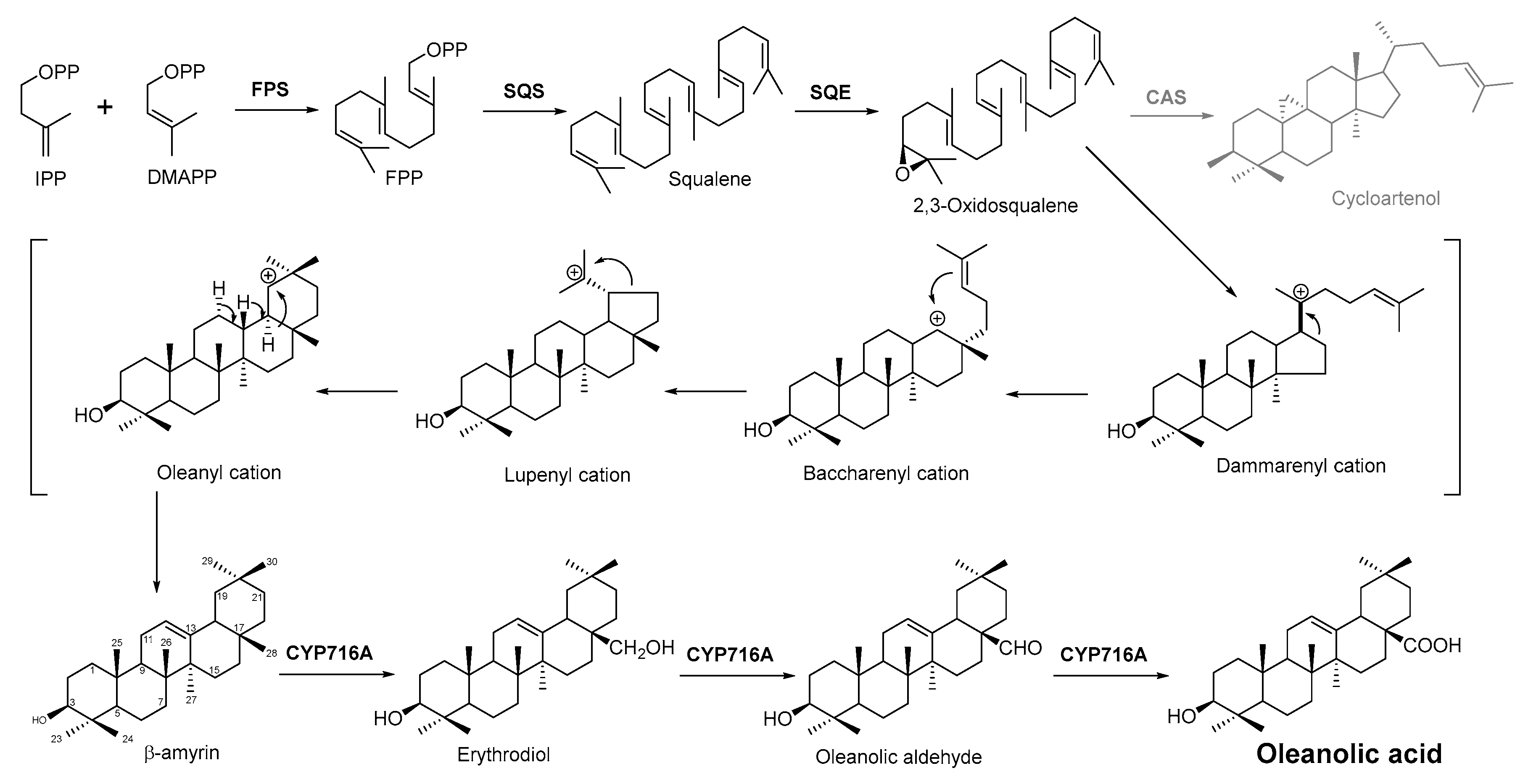 Antibiotics 11 01380 g003 Antibiotics 11 01380 g003