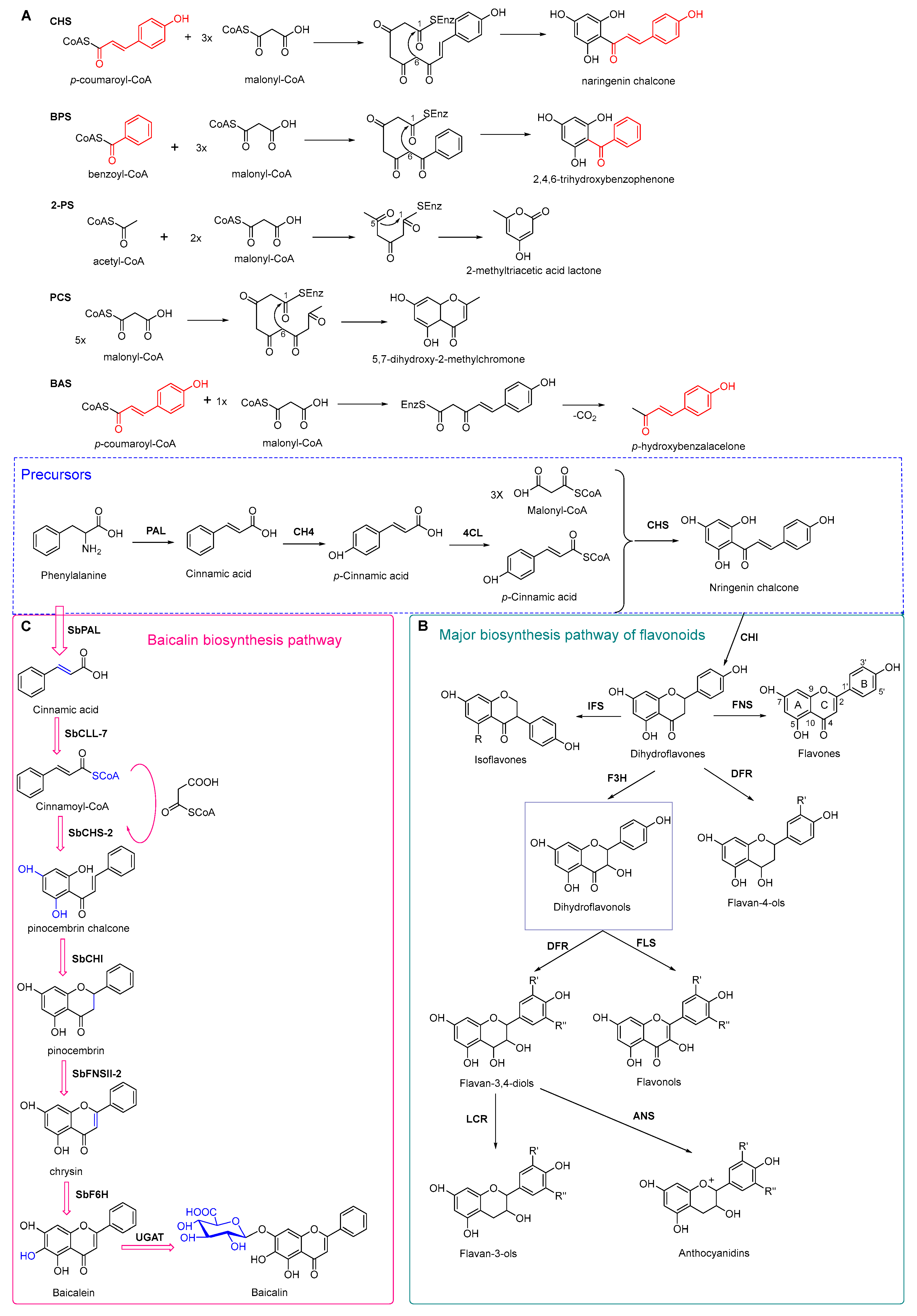 Antibiotics 11 01380 g007 Antibiotics 11 01380 g007