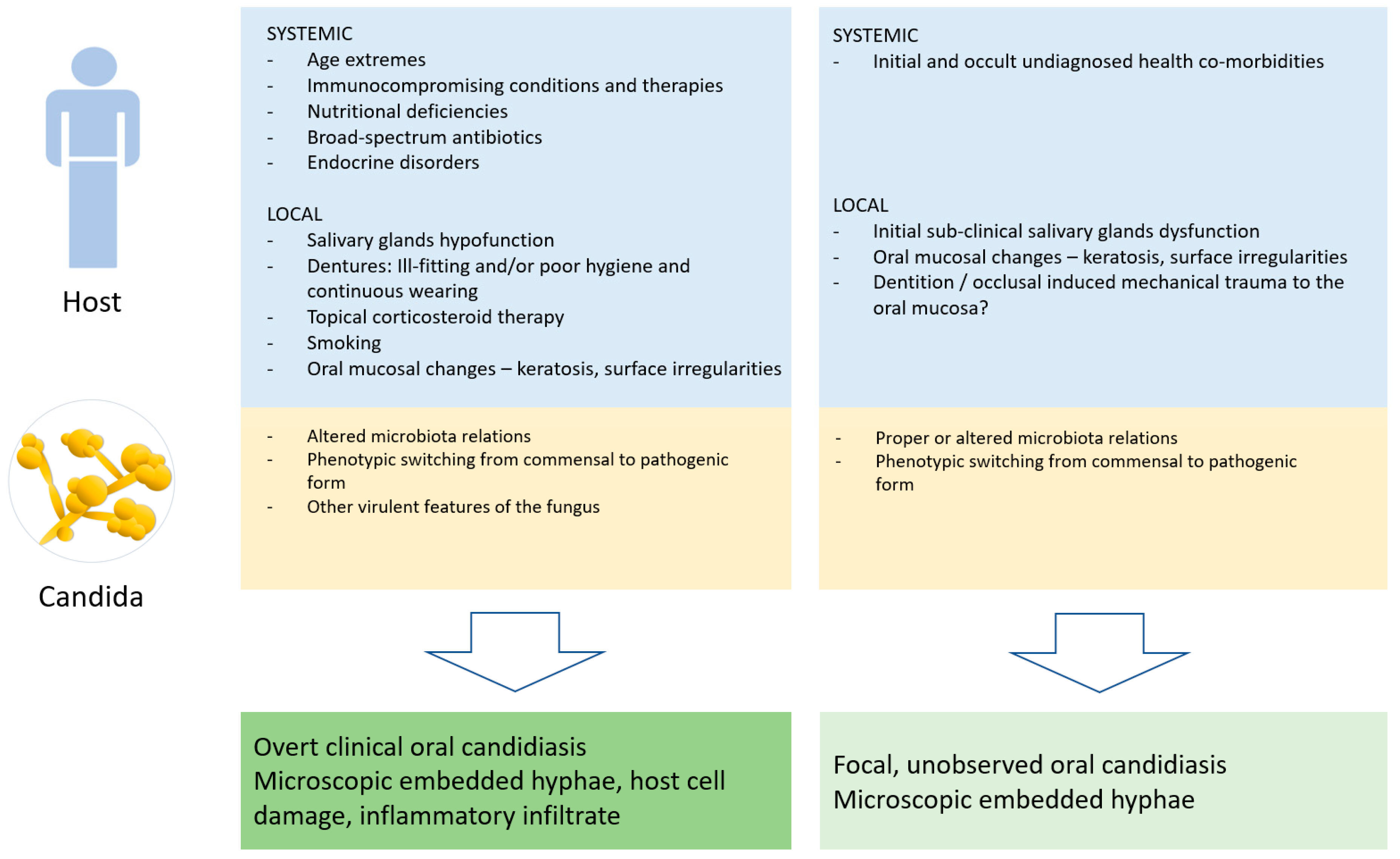 Antibiotics 11 01386 g004