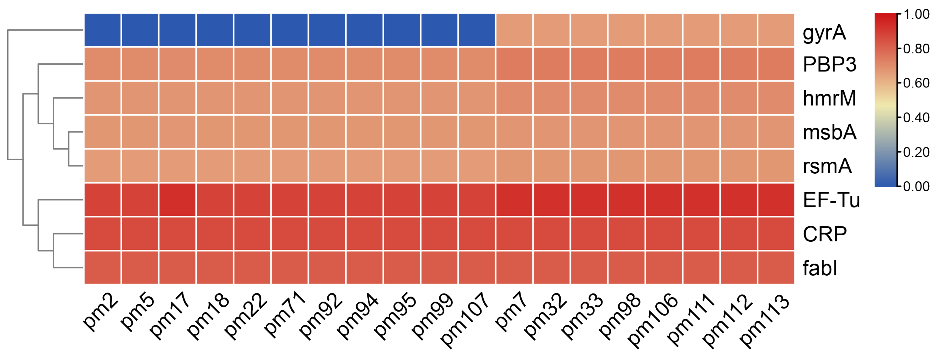 Antibiotics 11 01387 g002 Antibiotics 11 01387 g002