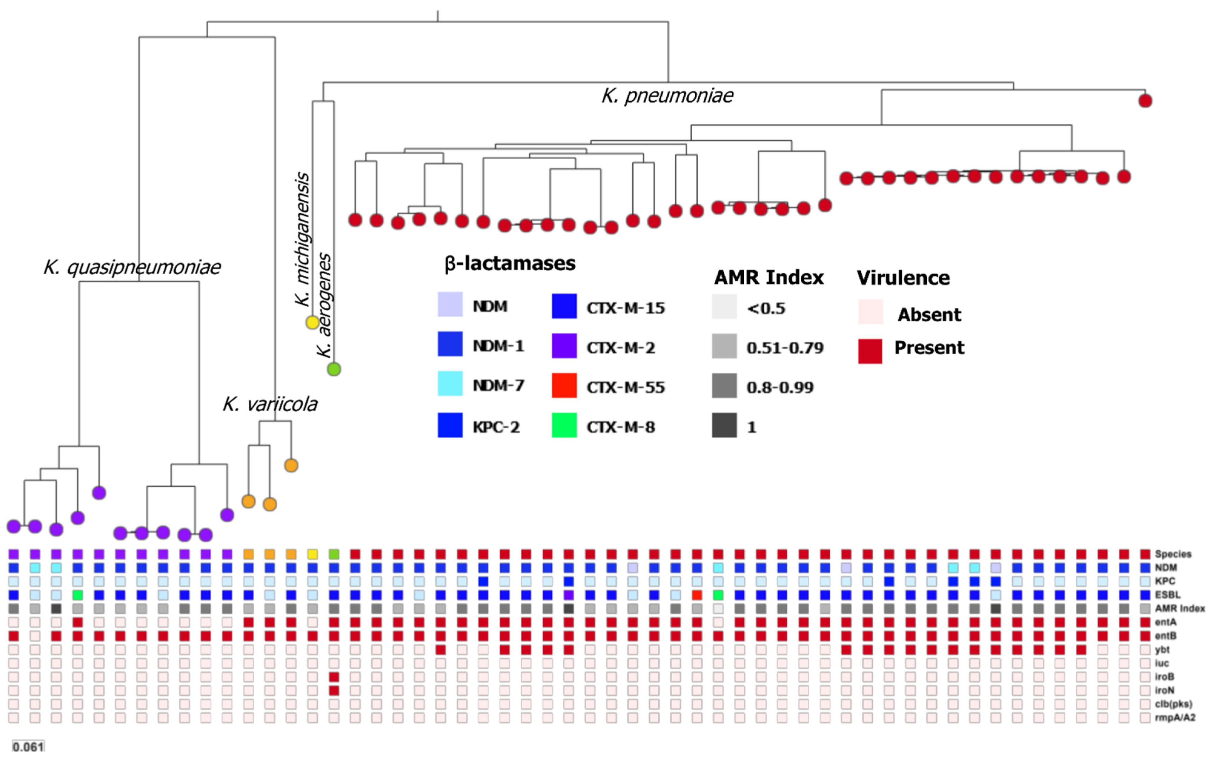 Antibiotics 11 01395 g001 Antibiotics 11 01395 g001