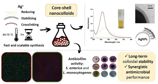 Antibiotics Free Full Text Highly Stable Core Shell Nanocolloids Synergy Between Nano Silver And Natural Polymers To Prevent Biofilm Formation