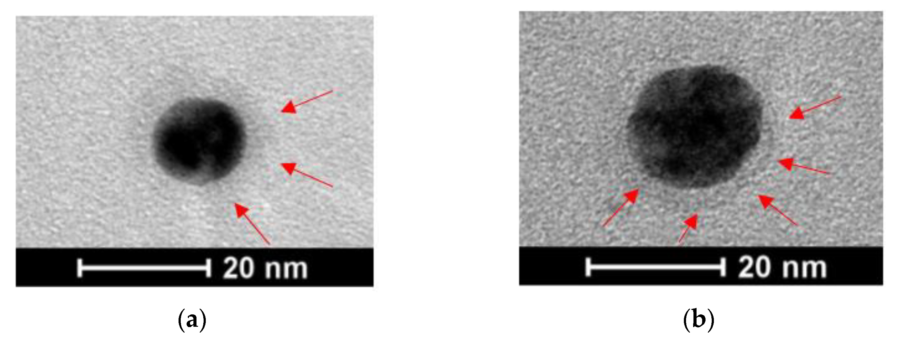Antibiotics 11 01396 g003 Antibiotics 11 01396 g003