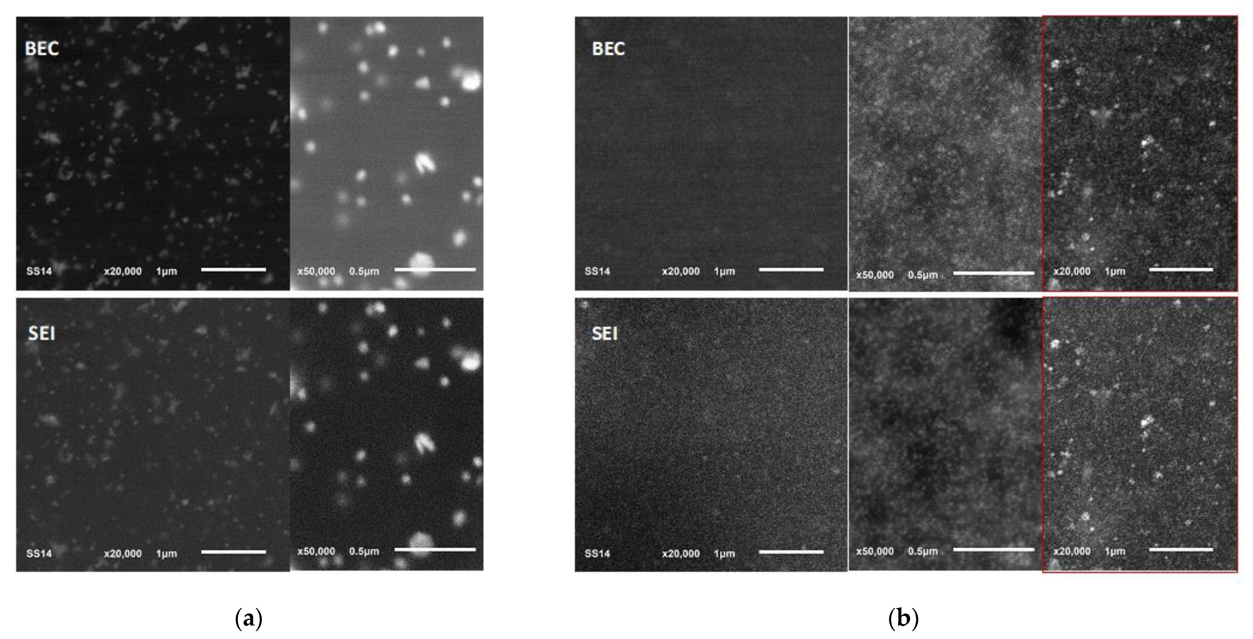 Antibiotics 11 01396 g005 Antibiotics 11 01396 g005