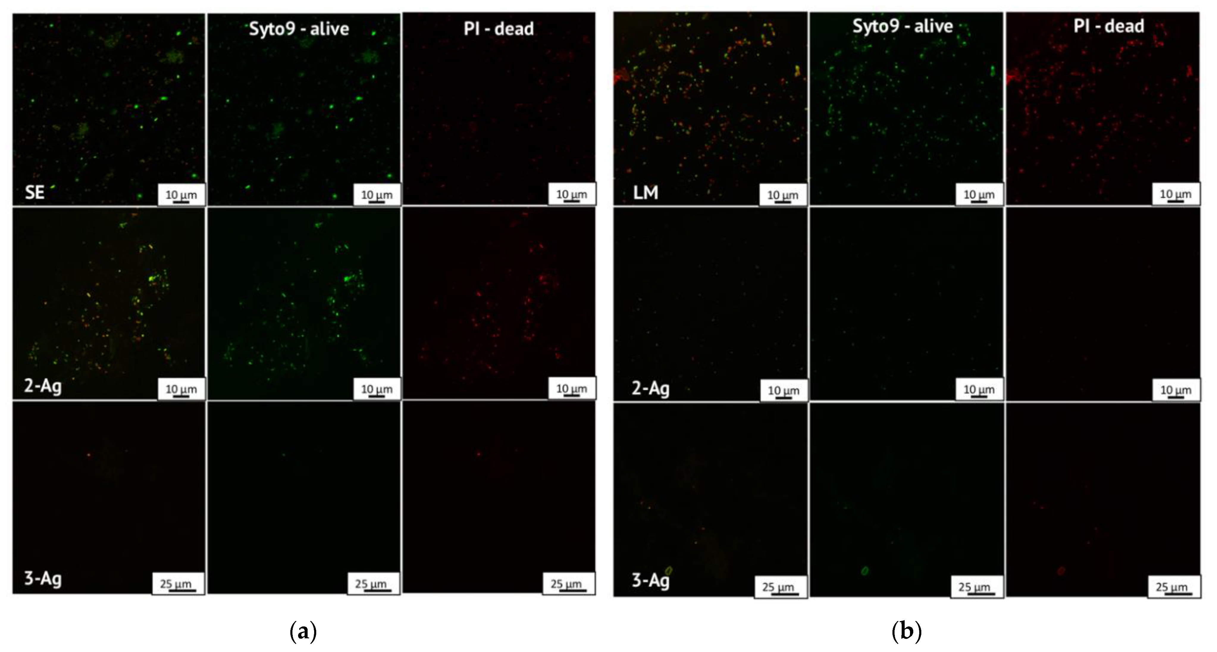 Antibiotics 11 01396 g009 Antibiotics 11 01396 g009