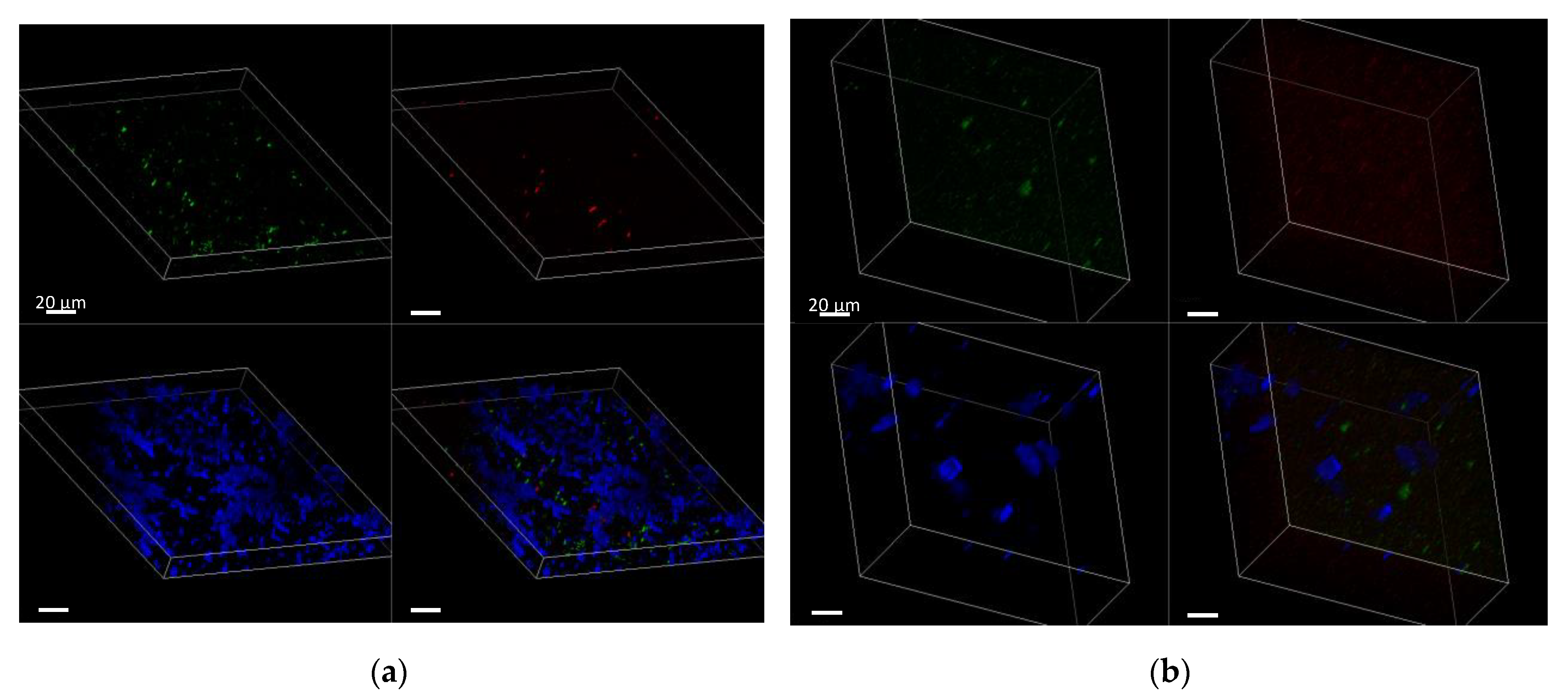 Antibiotics 11 01396 g010 Antibiotics 11 01396 g010