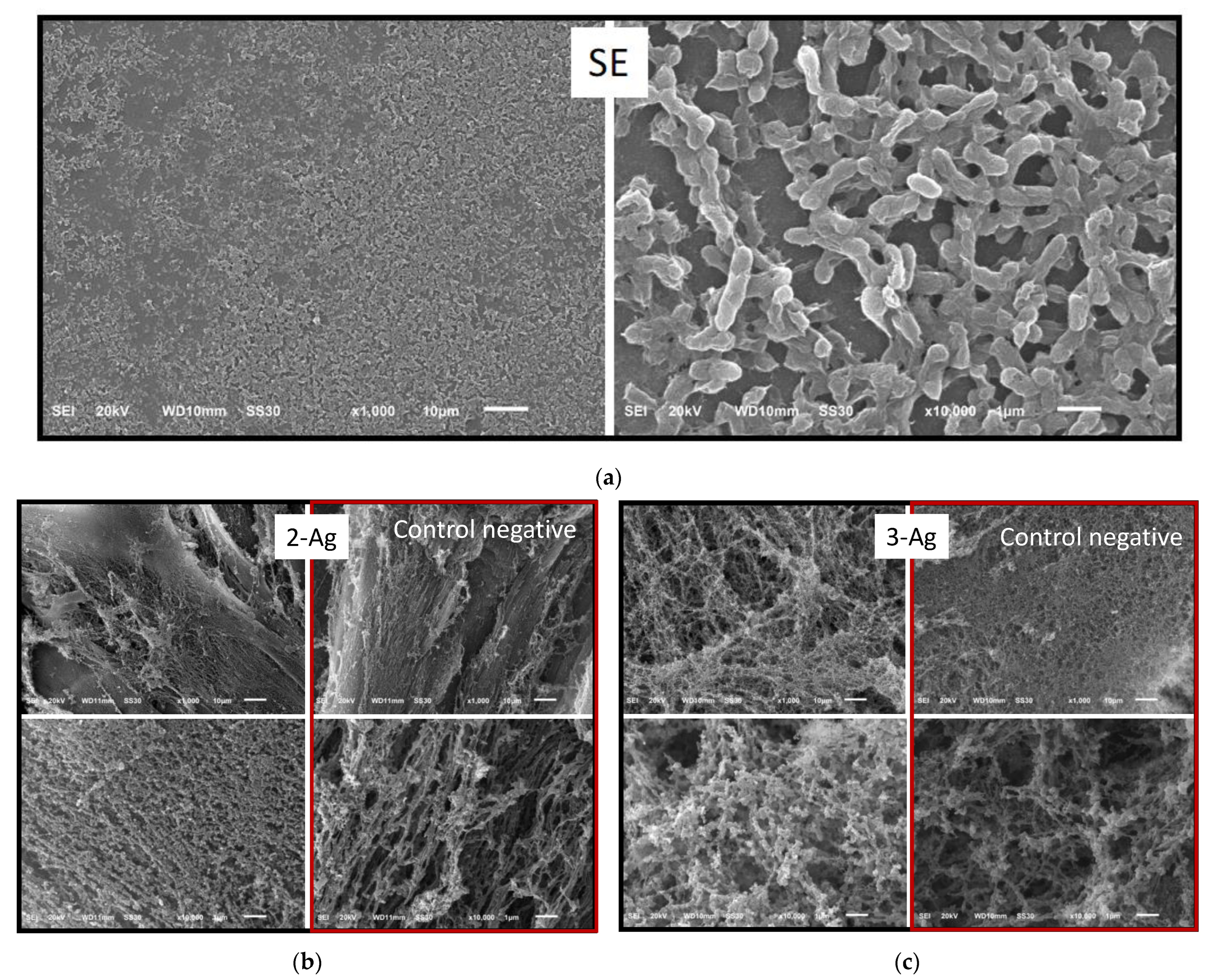 Antibiotics 11 01396 g011 Antibiotics 11 01396 g011