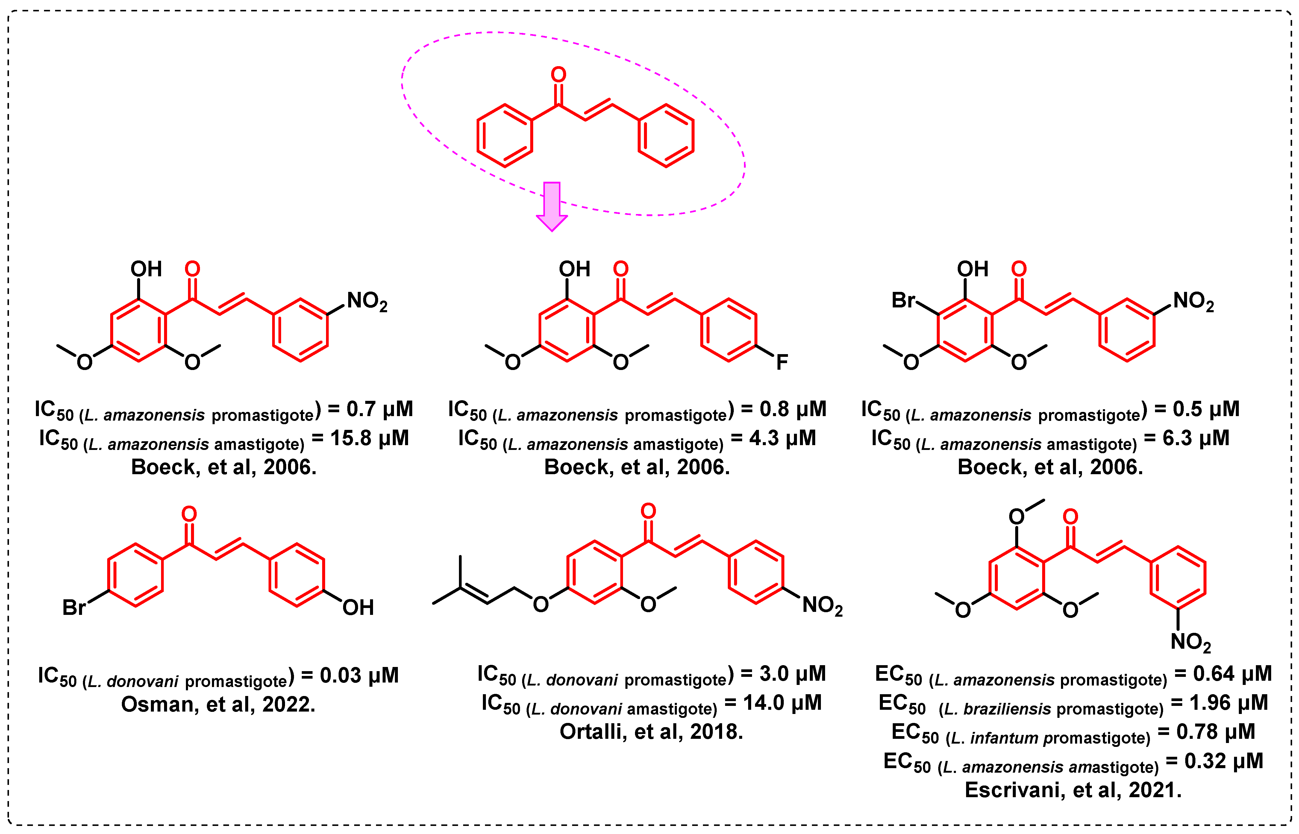 Antibiotics 11 01402 g001