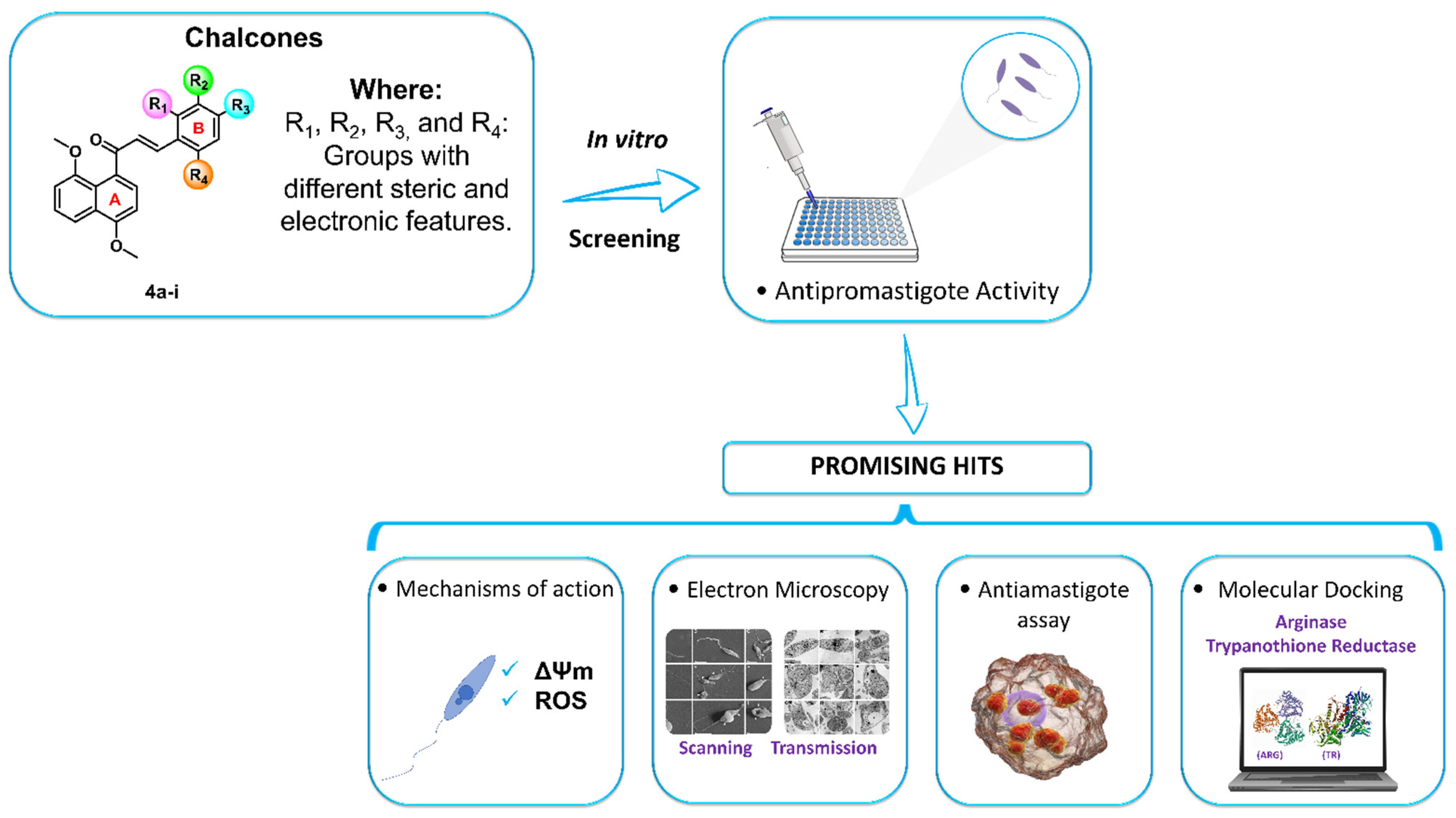 Antibiotics 11 01402 g002