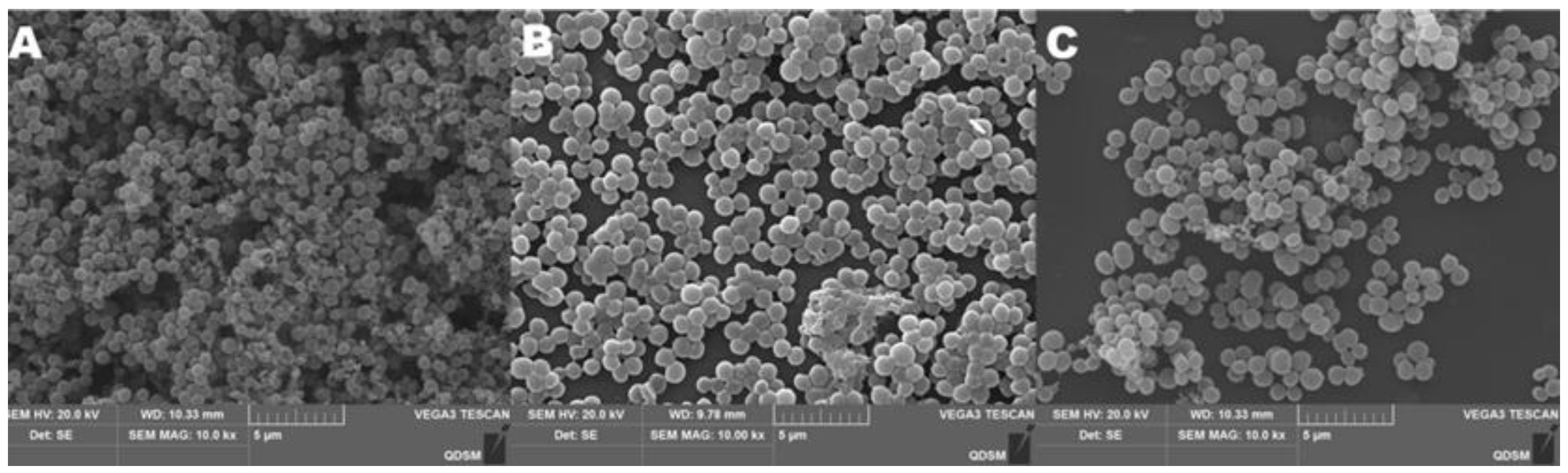 Antibiotics 11 01403 g005