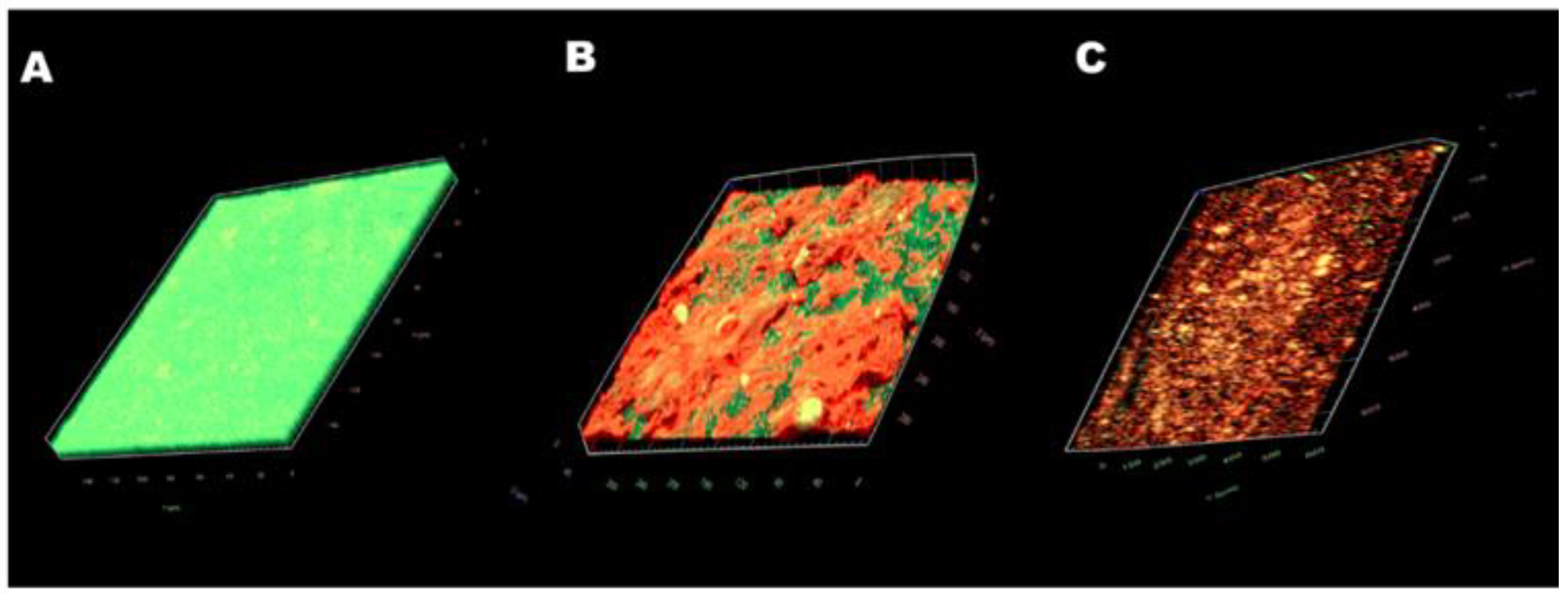 Antibiotics 11 01403 g006