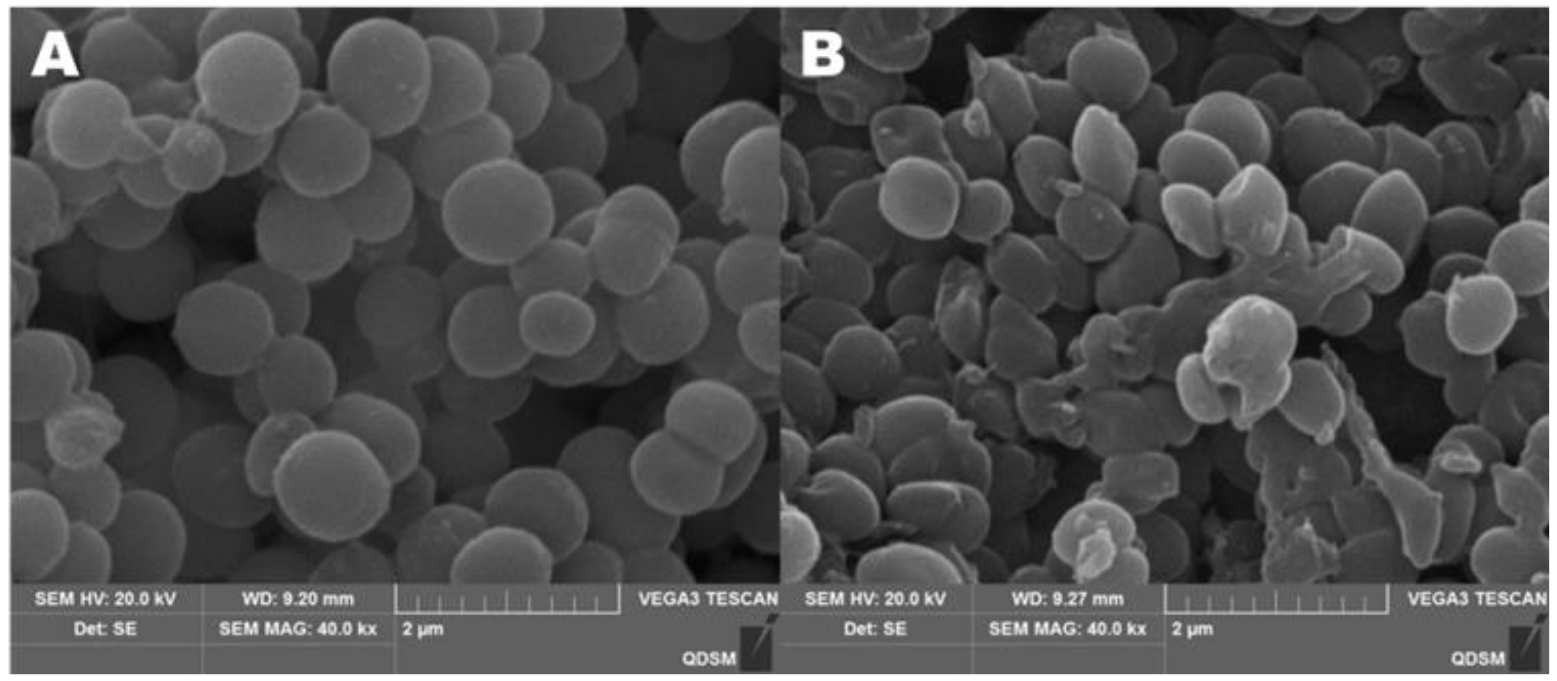Antibiotics 11 01403 g008