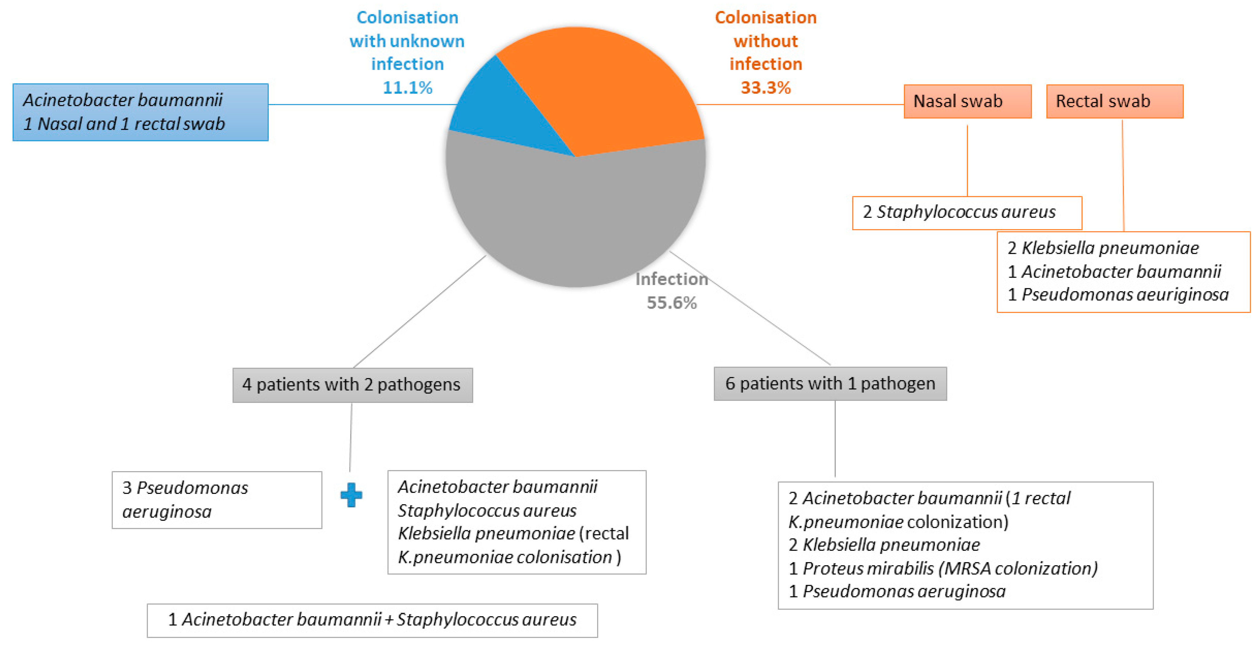 Antibiotics 11 01411 g001 Antibiotics 11 01411 g001