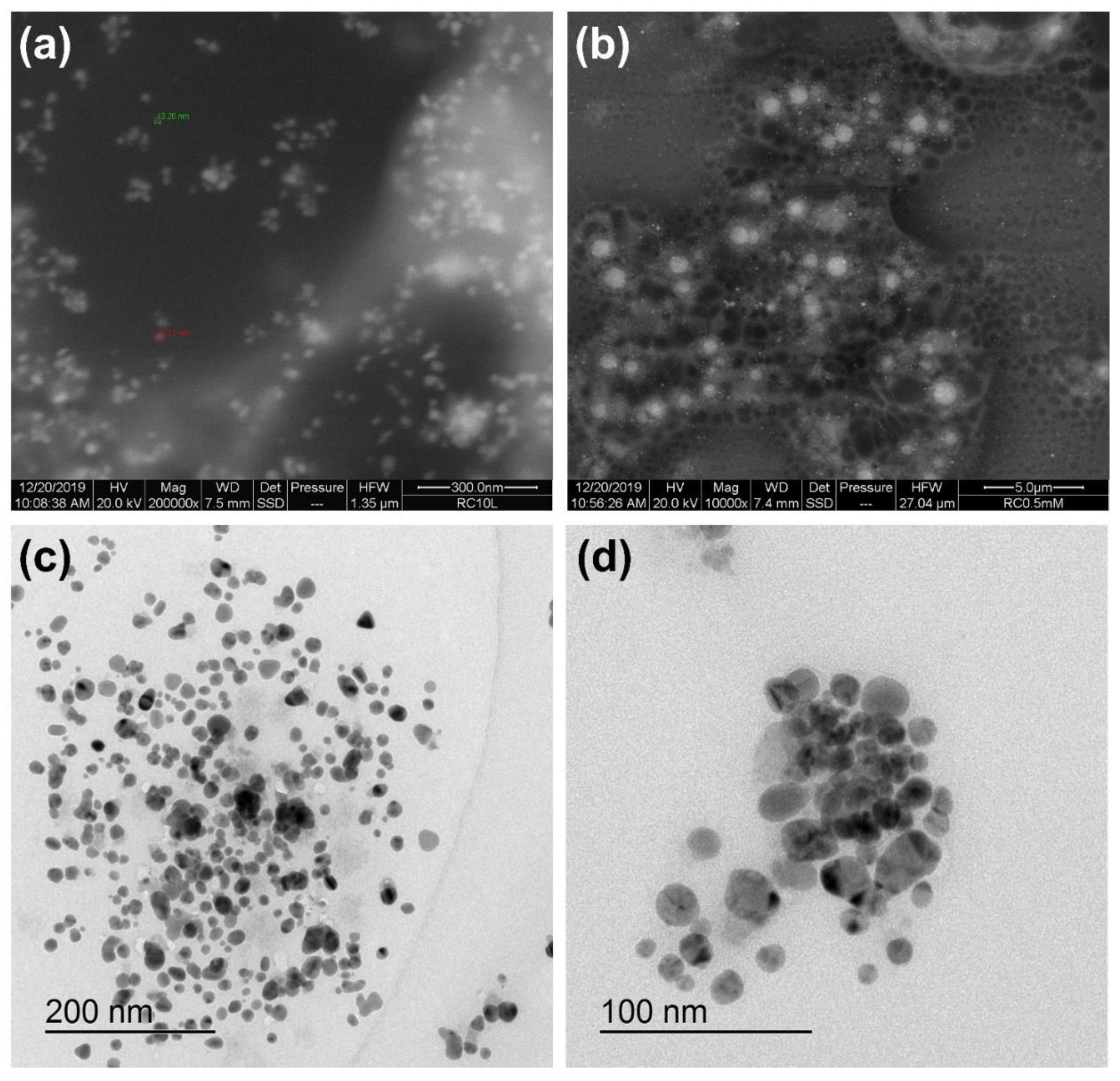 Antibiotics 11 01415 g004 Antibiotics 11 01415 g004