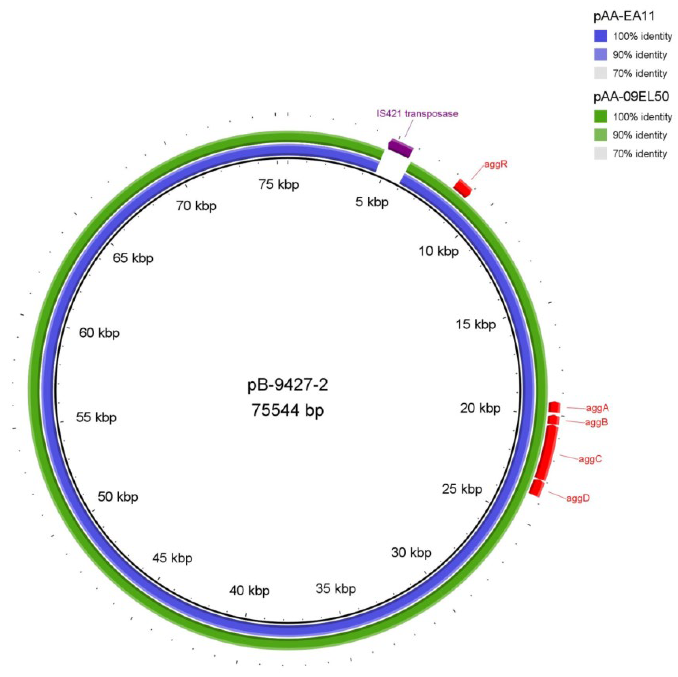 Antibiotics 11 01416 g004
