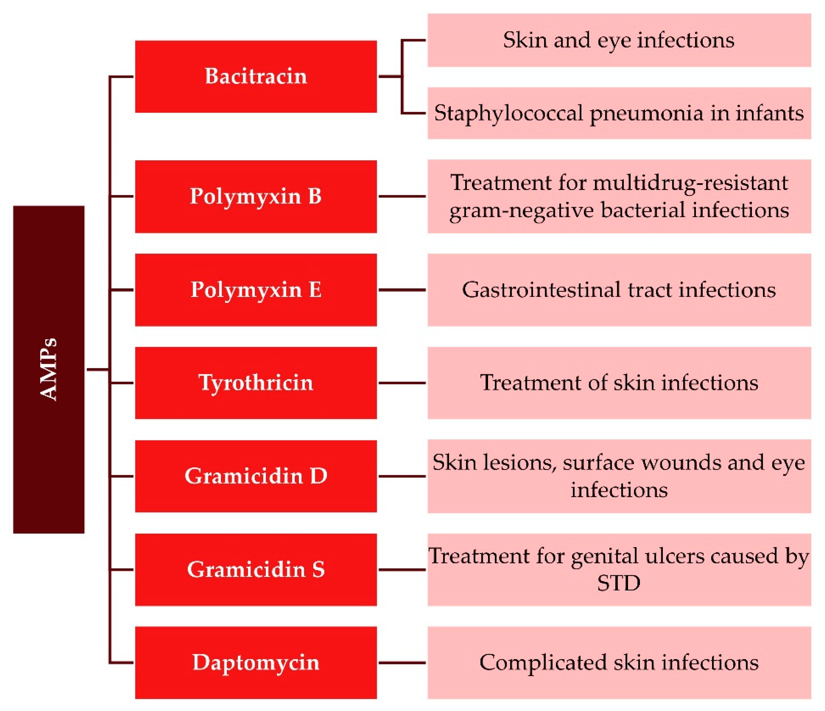 Antibiotics 11 01417 g007