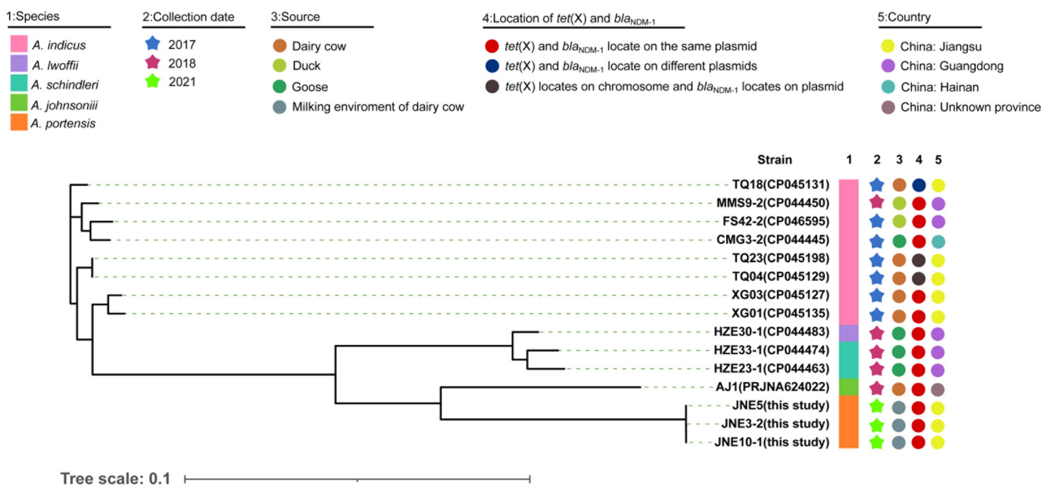 Antibiotics 11 01422 g003 Antibiotics 11 01422 g003