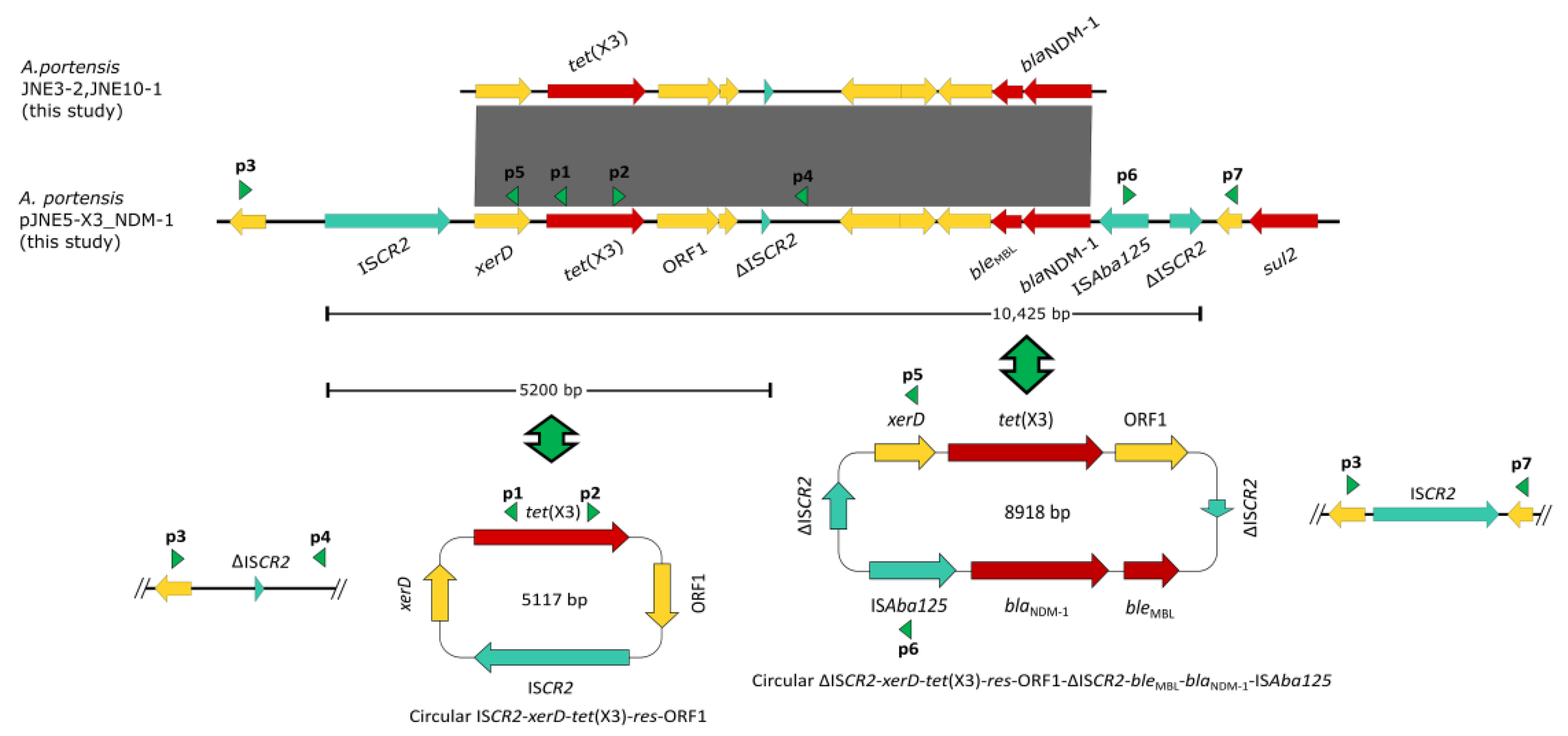 Antibiotics 11 01422 g004 Antibiotics 11 01422 g004