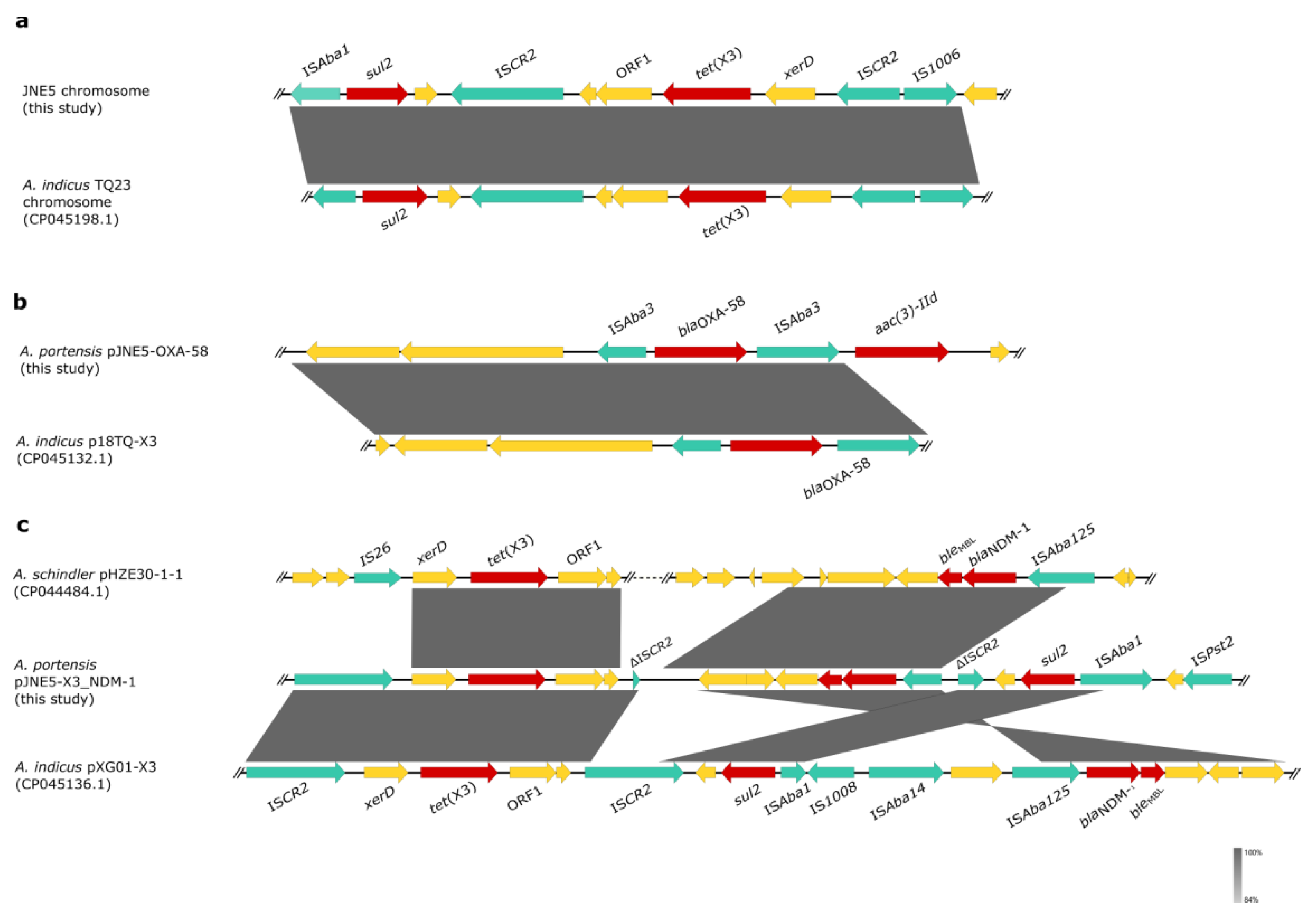 Antibiotics 11 01422 g005 Antibiotics 11 01422 g005