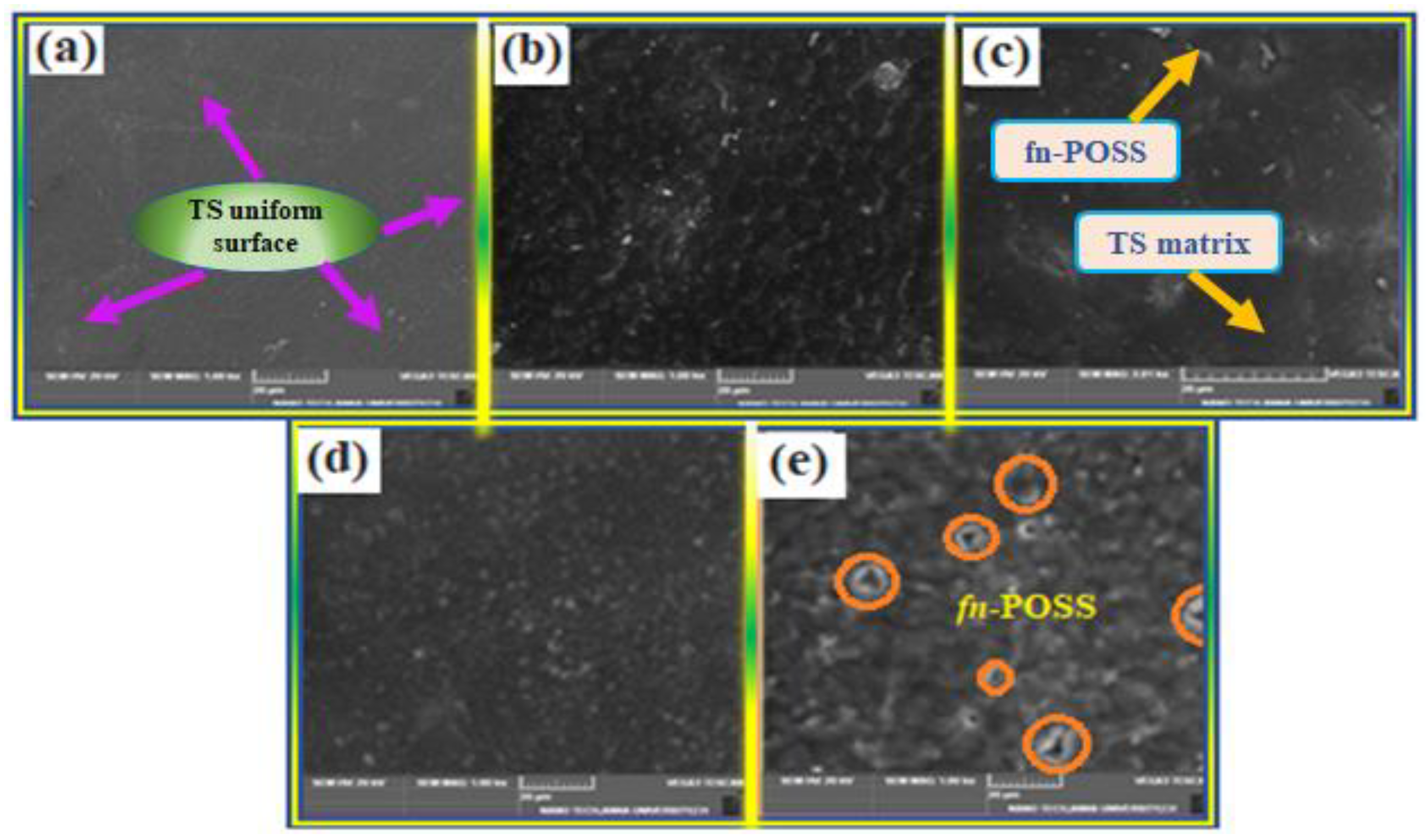 Antibiotics 11 01425 g003 Antibiotics 11 01425 g003